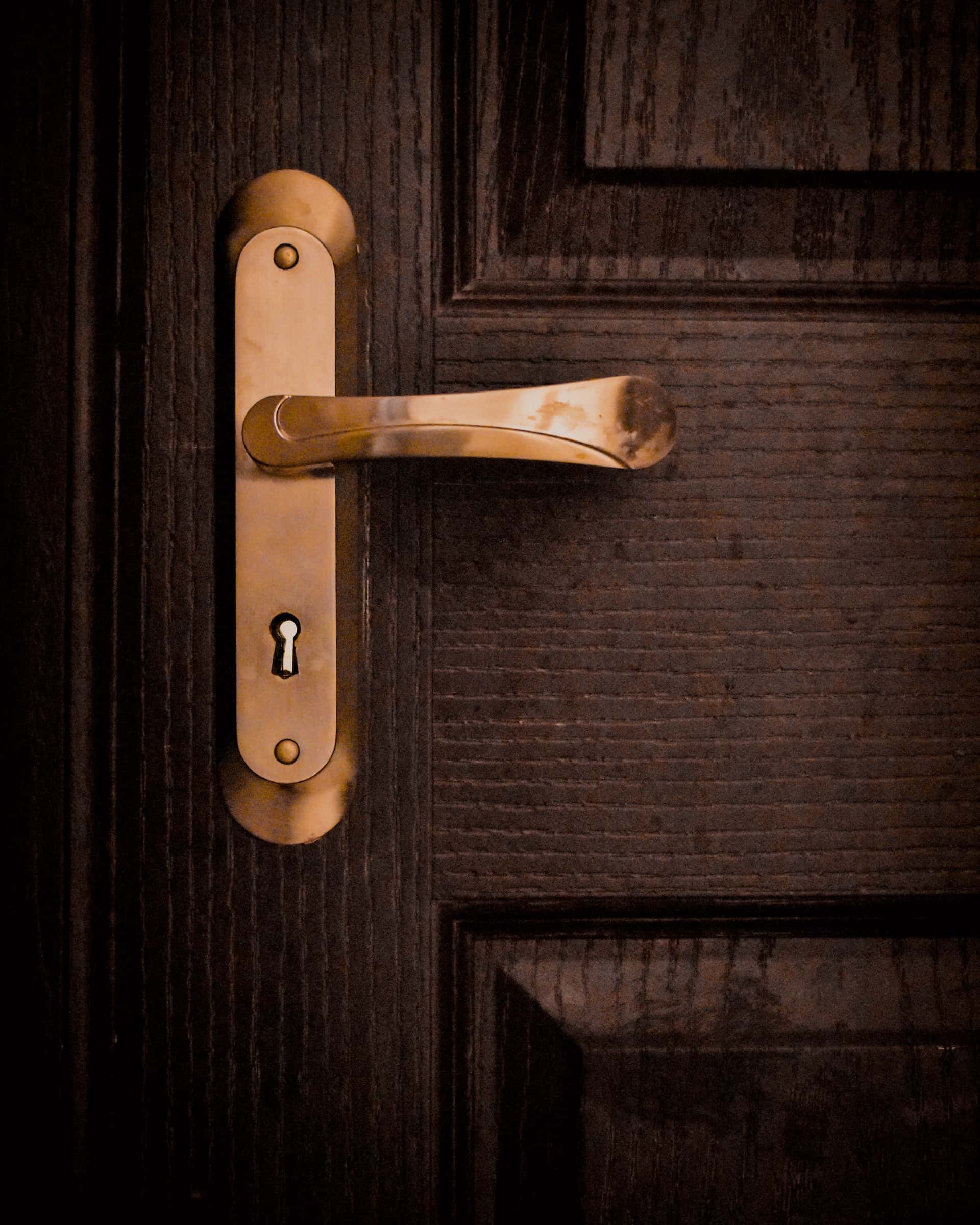 luxury door handles