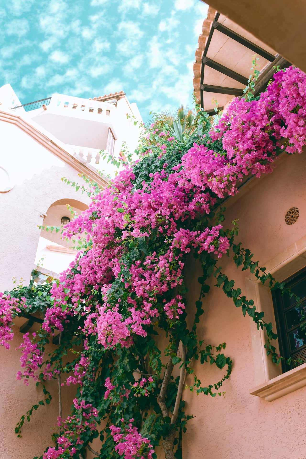 open terrace design with vines
