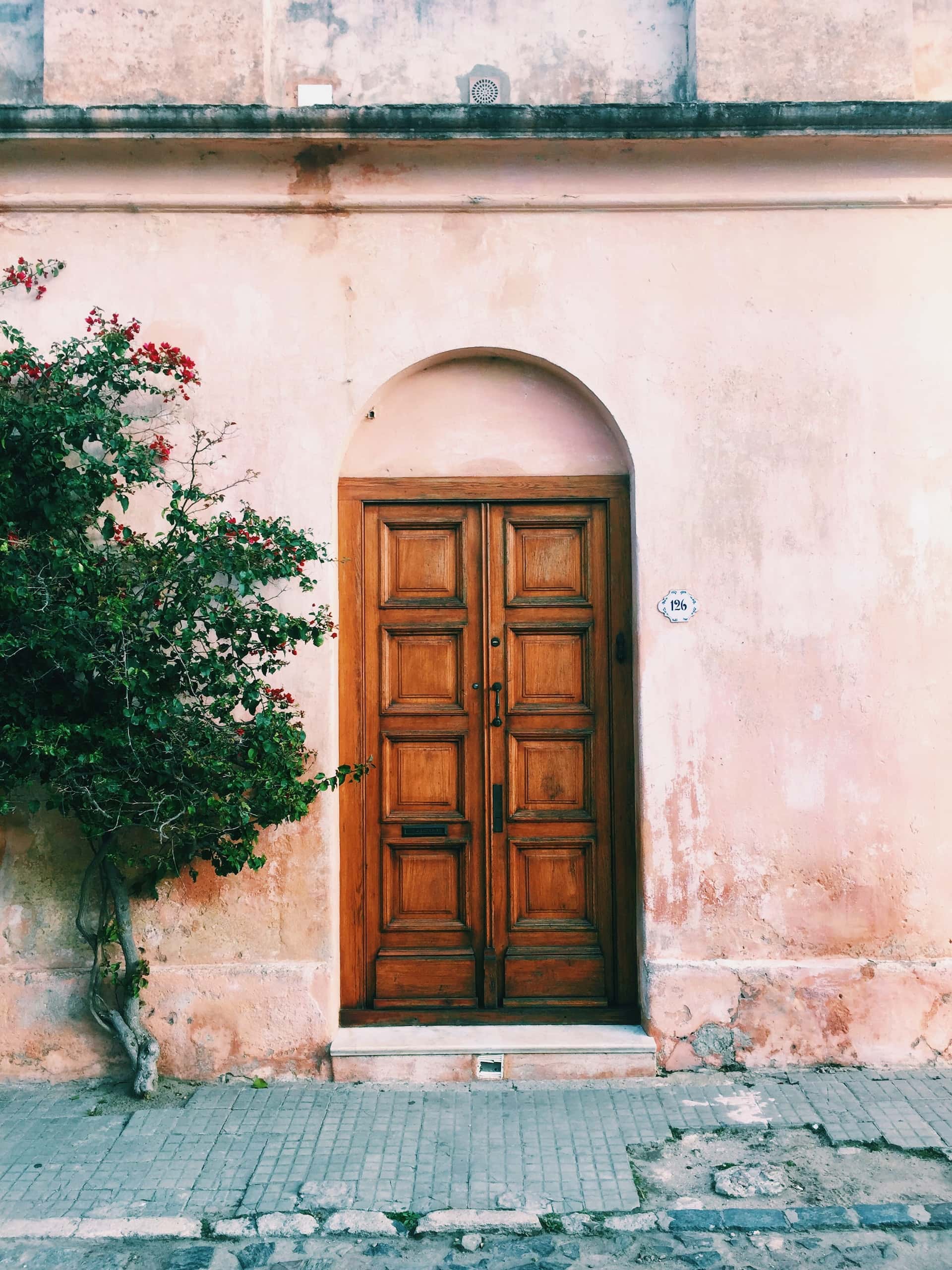 Panelled Veneer Door Designs