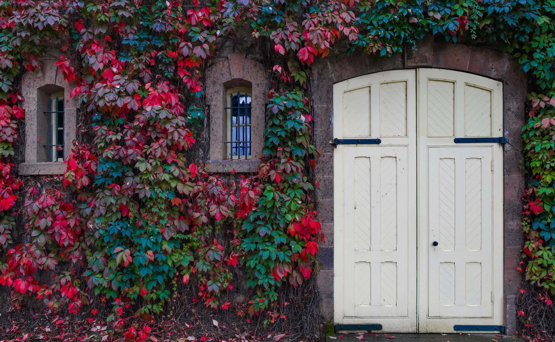 patterned double door with an arch