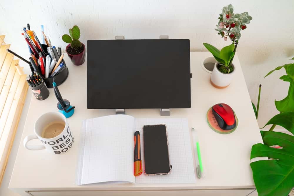 plants for study table decor