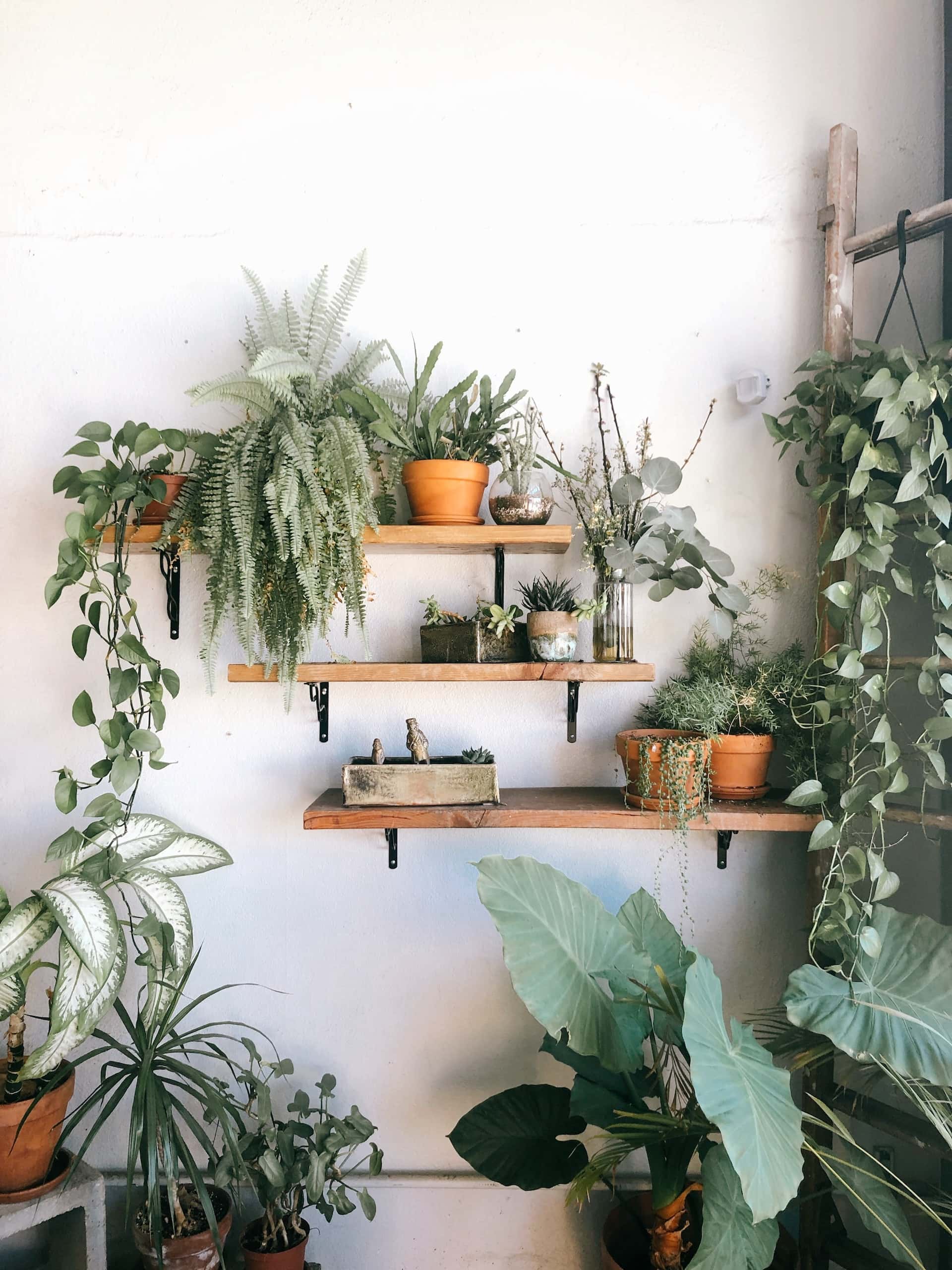 quintessentially beautiful balcony garden