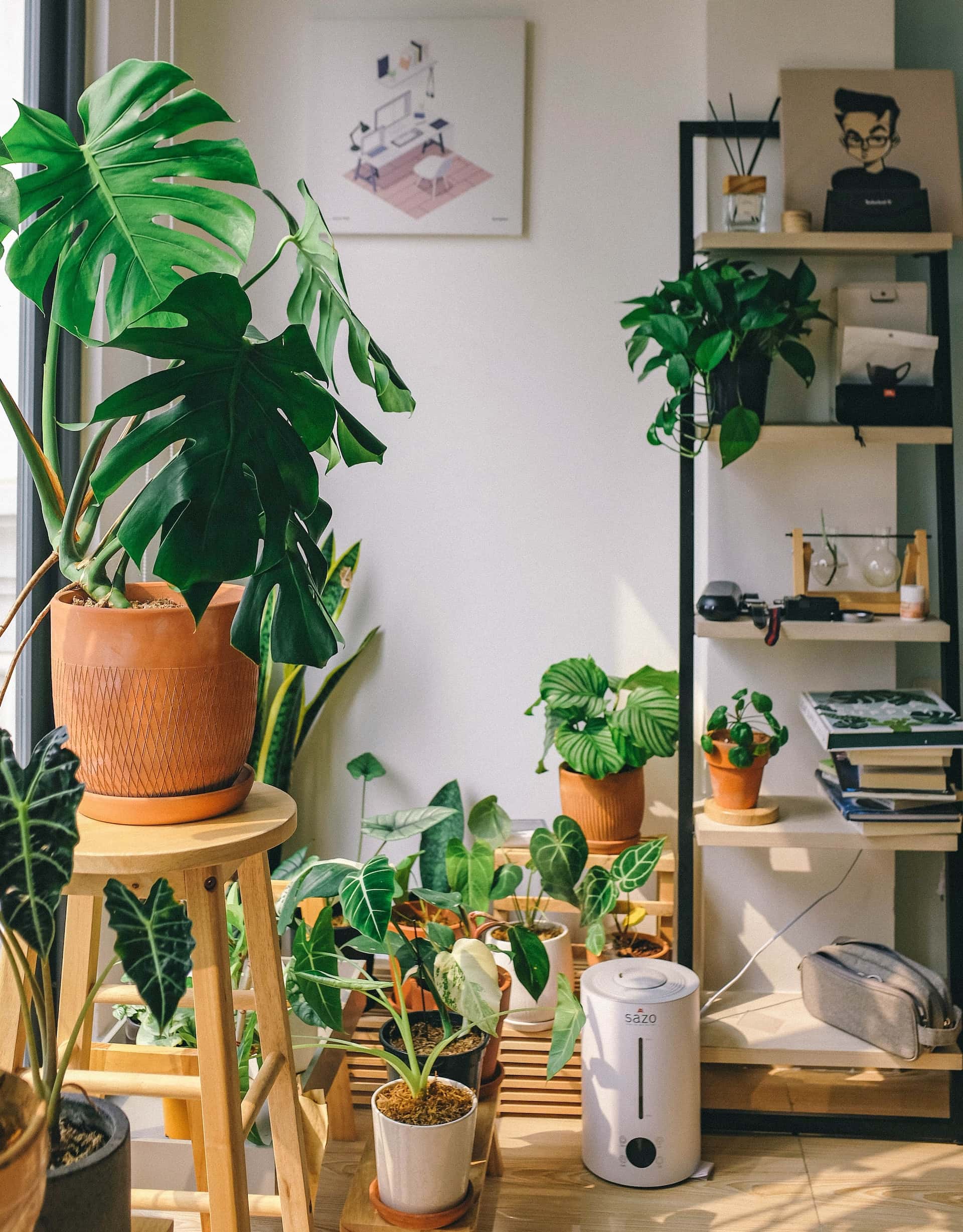 self-watering pots
