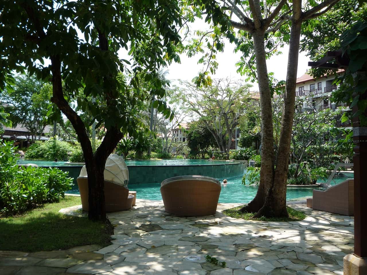 Tropical Swimming Pool Design