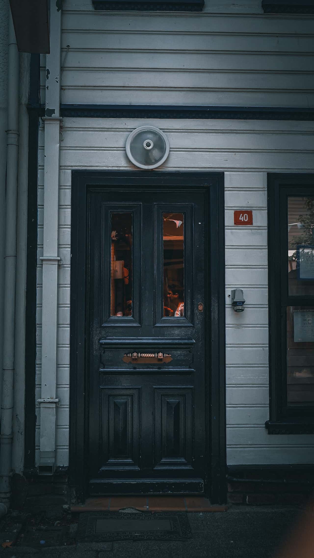 Veneer Door Ideas