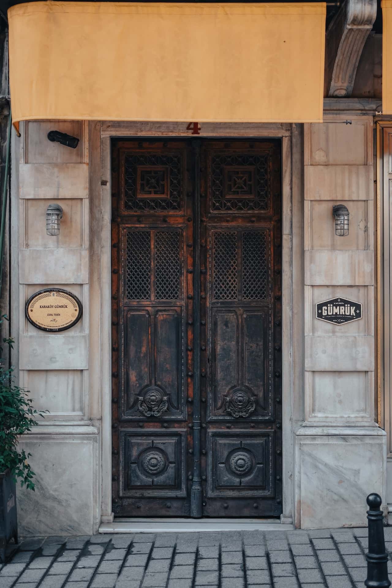 vintage safety metal door design