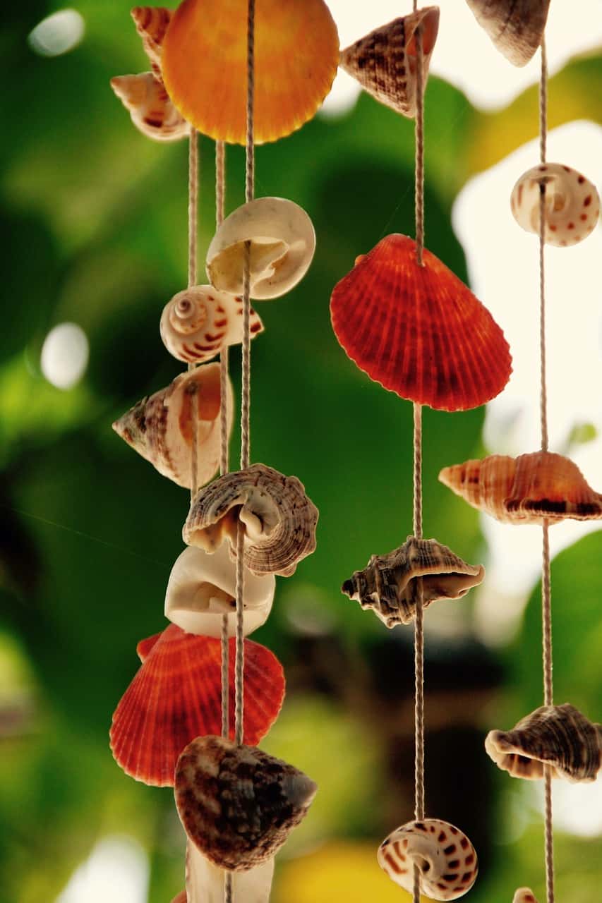 Seashell wind chimes vastu piece hanging outdoors to attract calm and good vibes