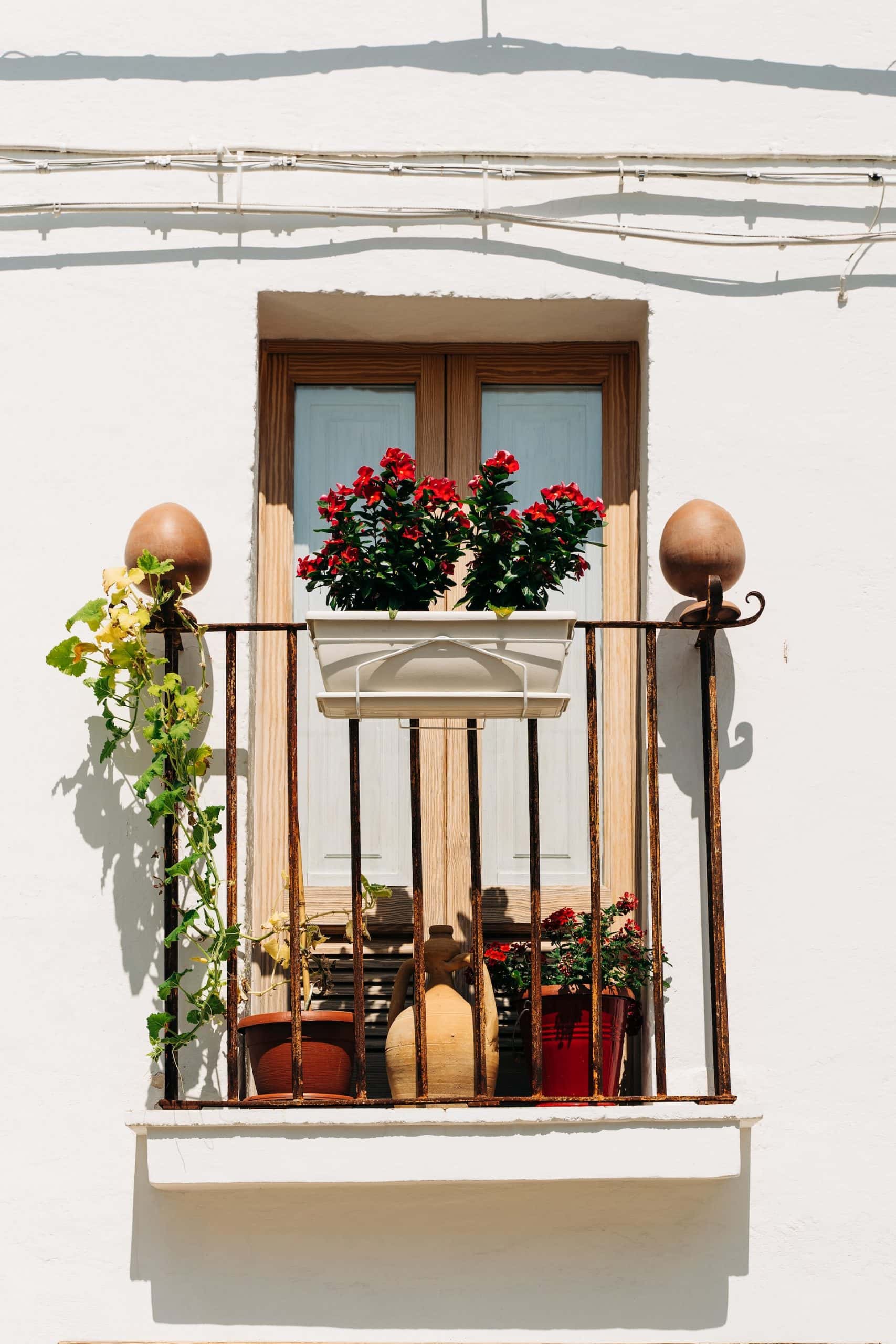 window balcony plant