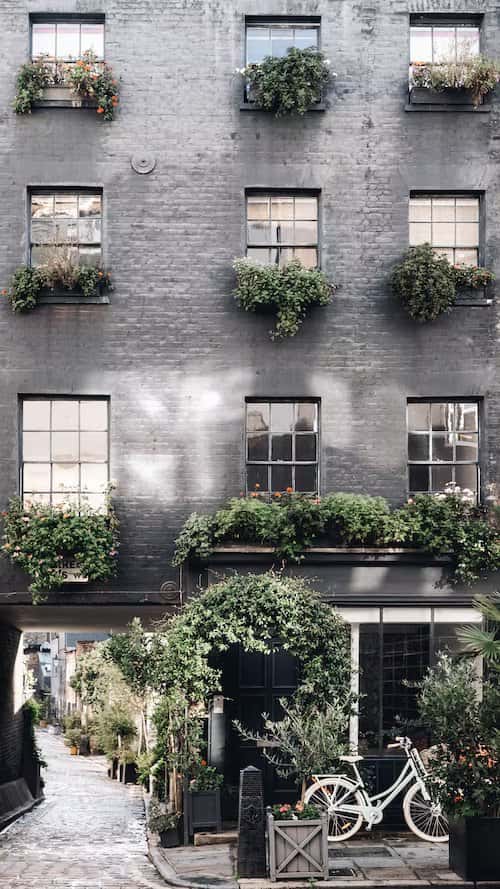 window boxes with plants