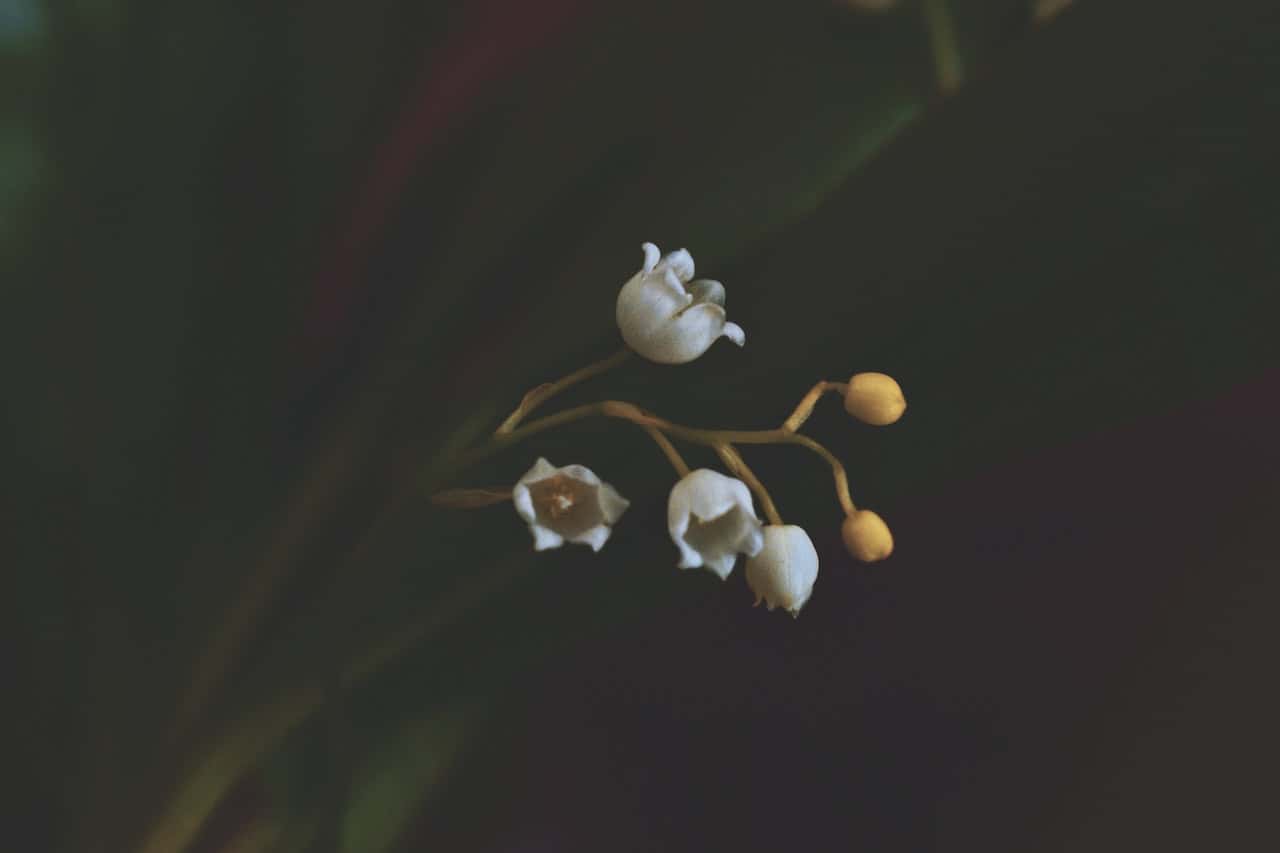 3d wallpaper