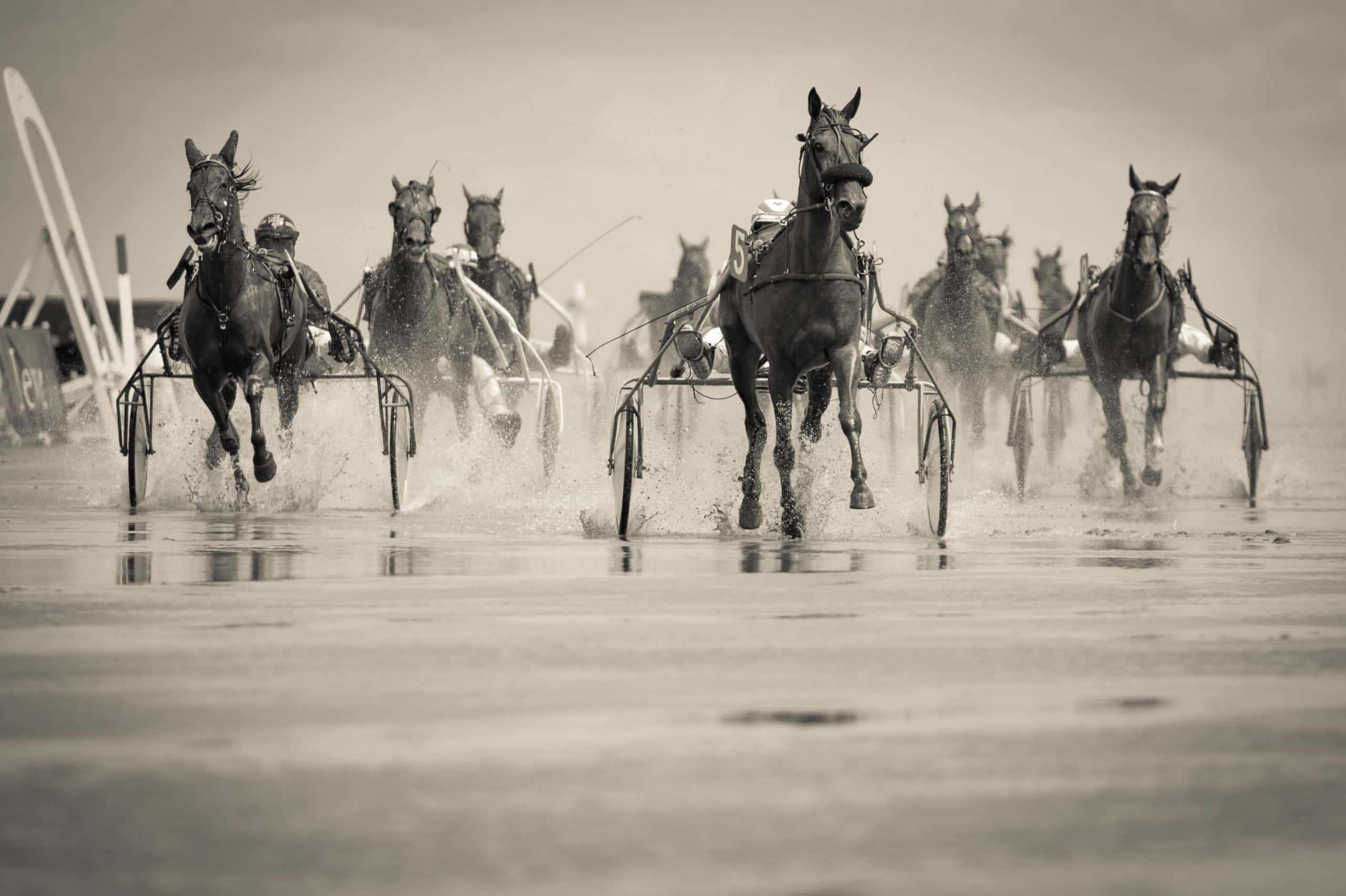 7 running horses painting vastu direction
