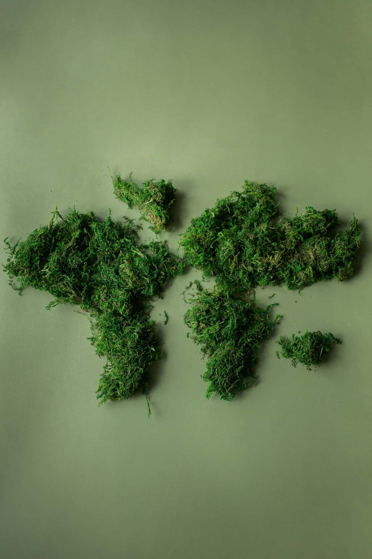 Moss Map