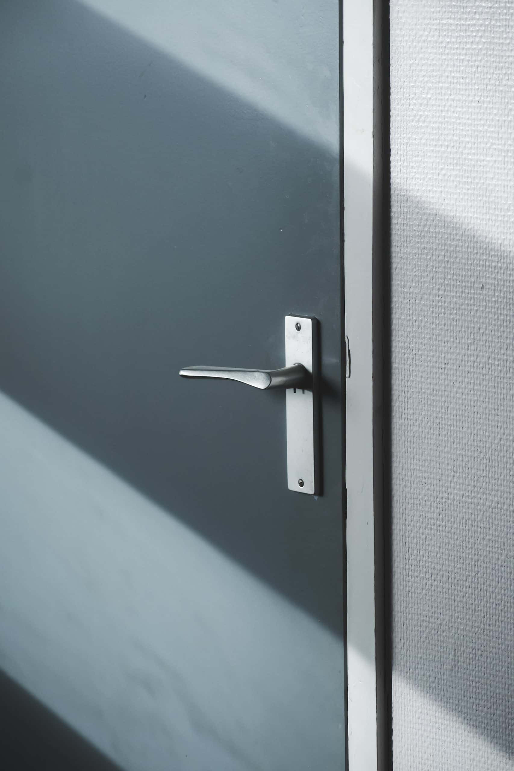 basic aluminium door