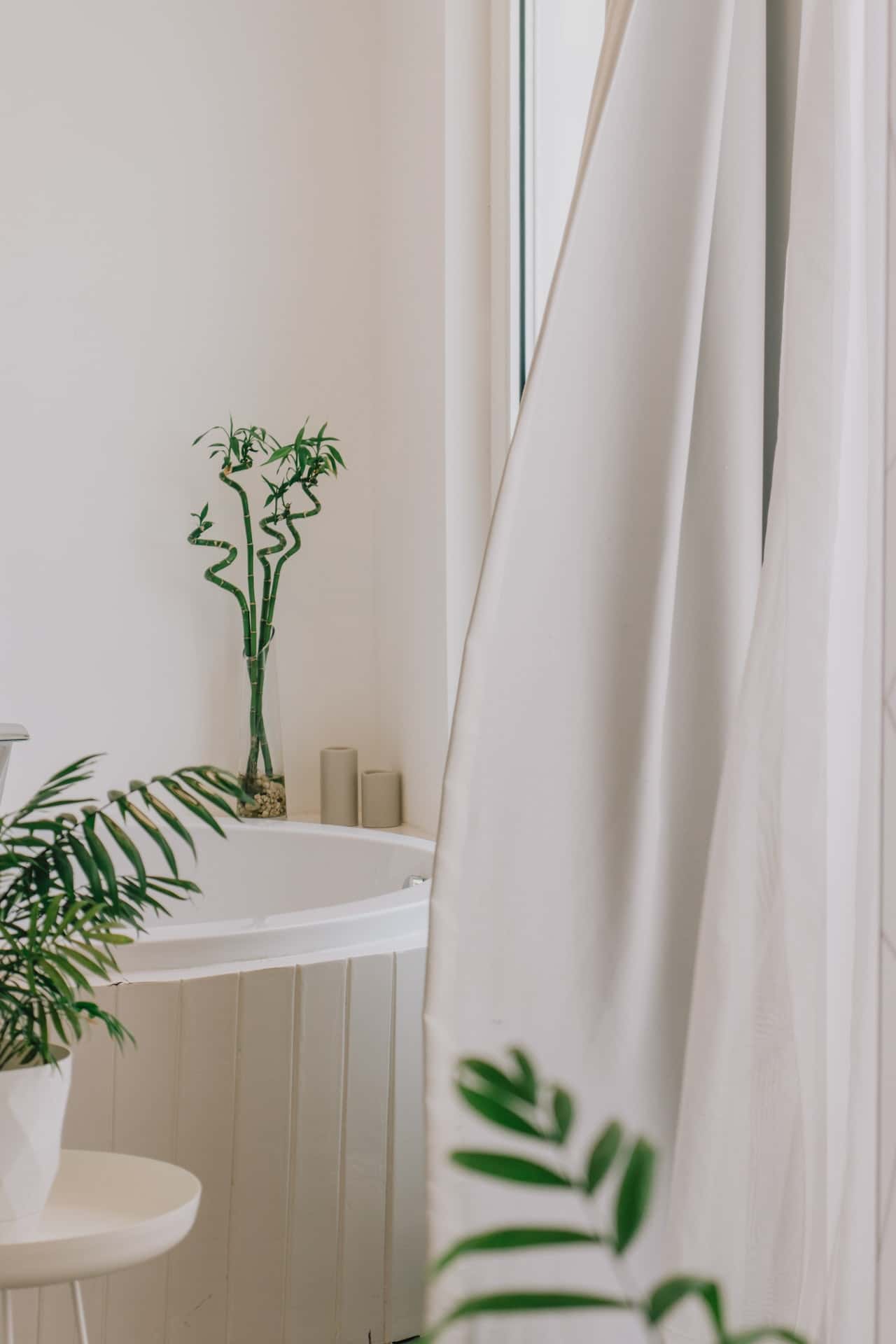 bathroom with shower curtain