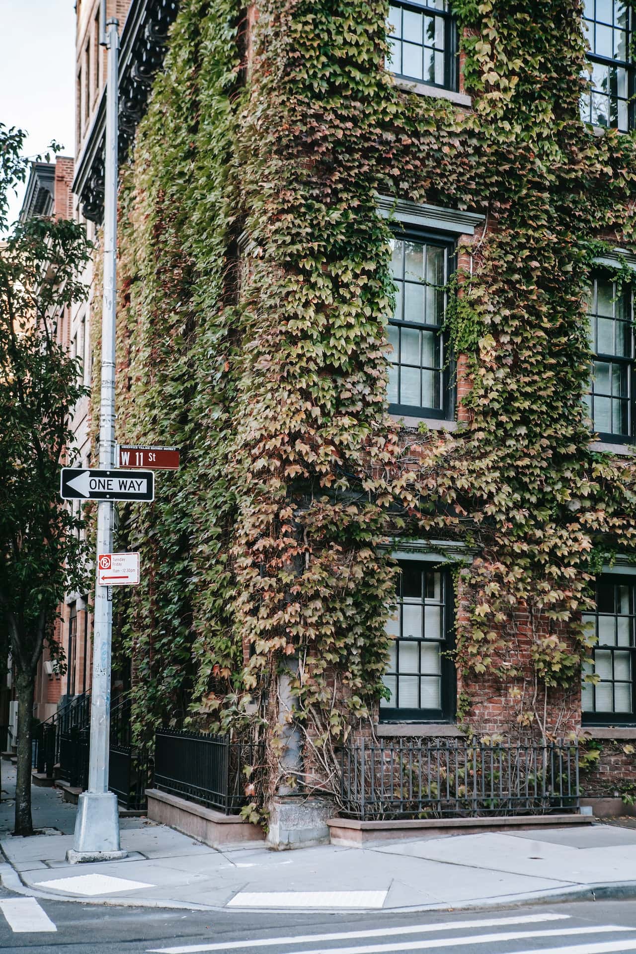 building outdoor moss wall
