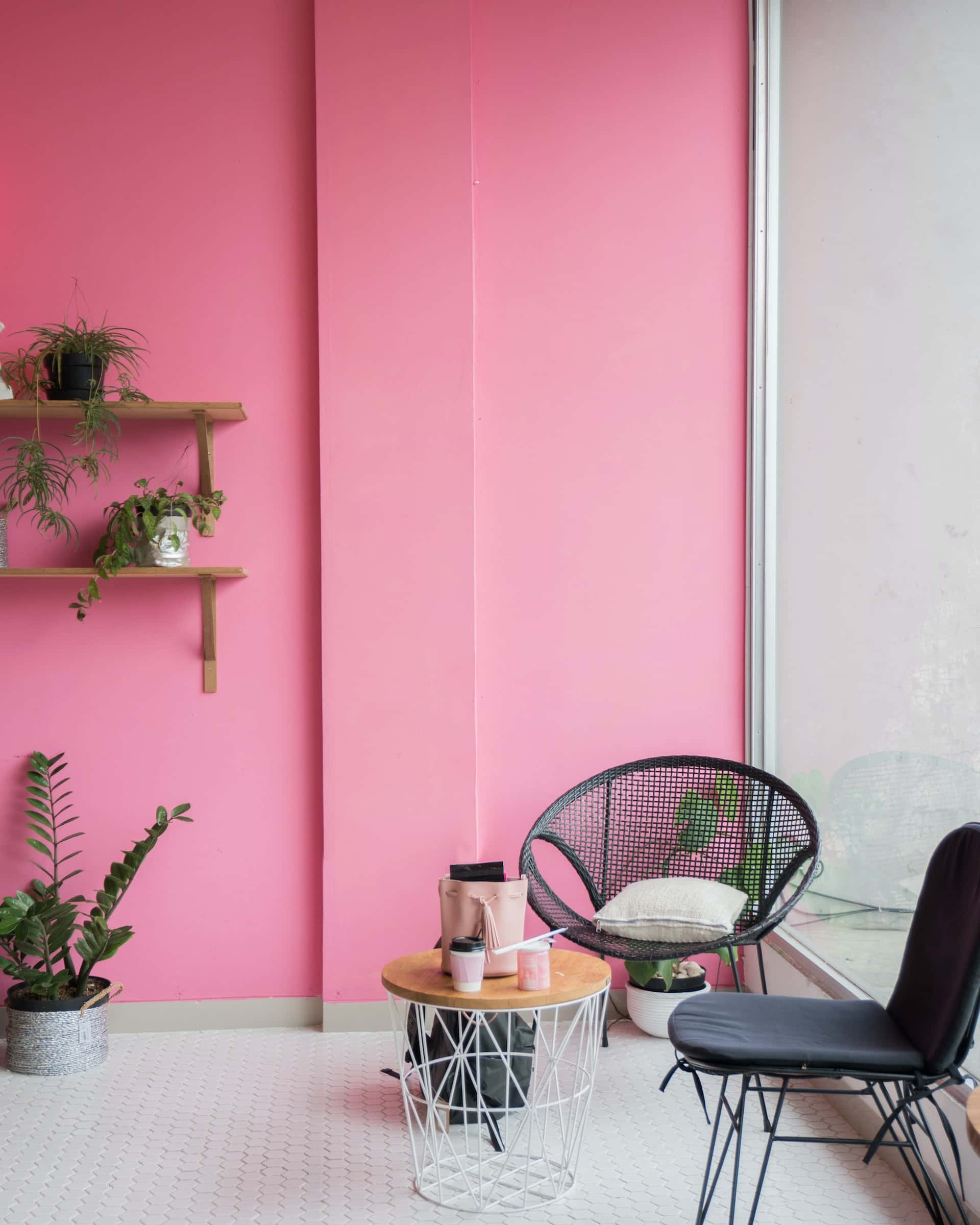 captivating accent wall