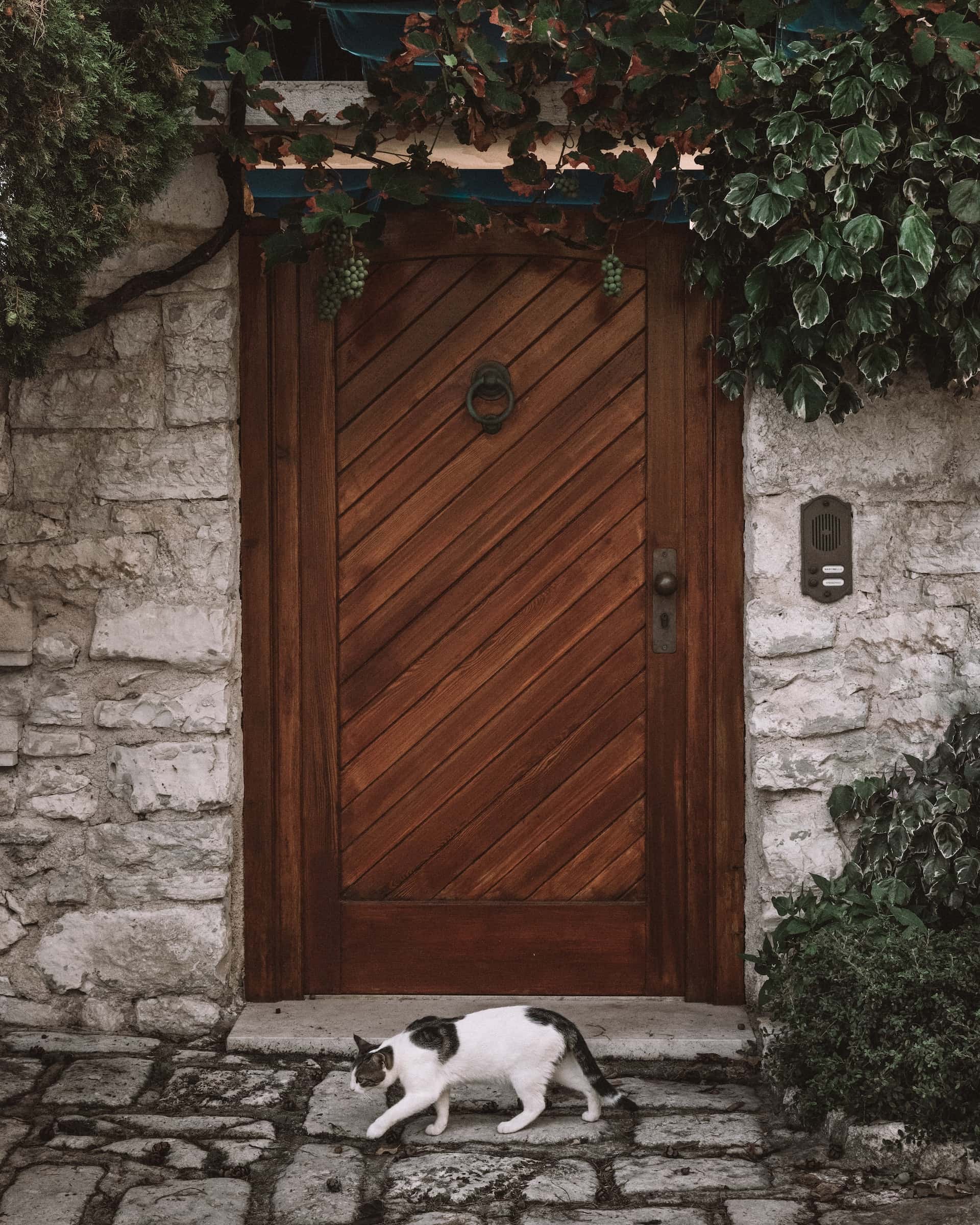 classic front door design