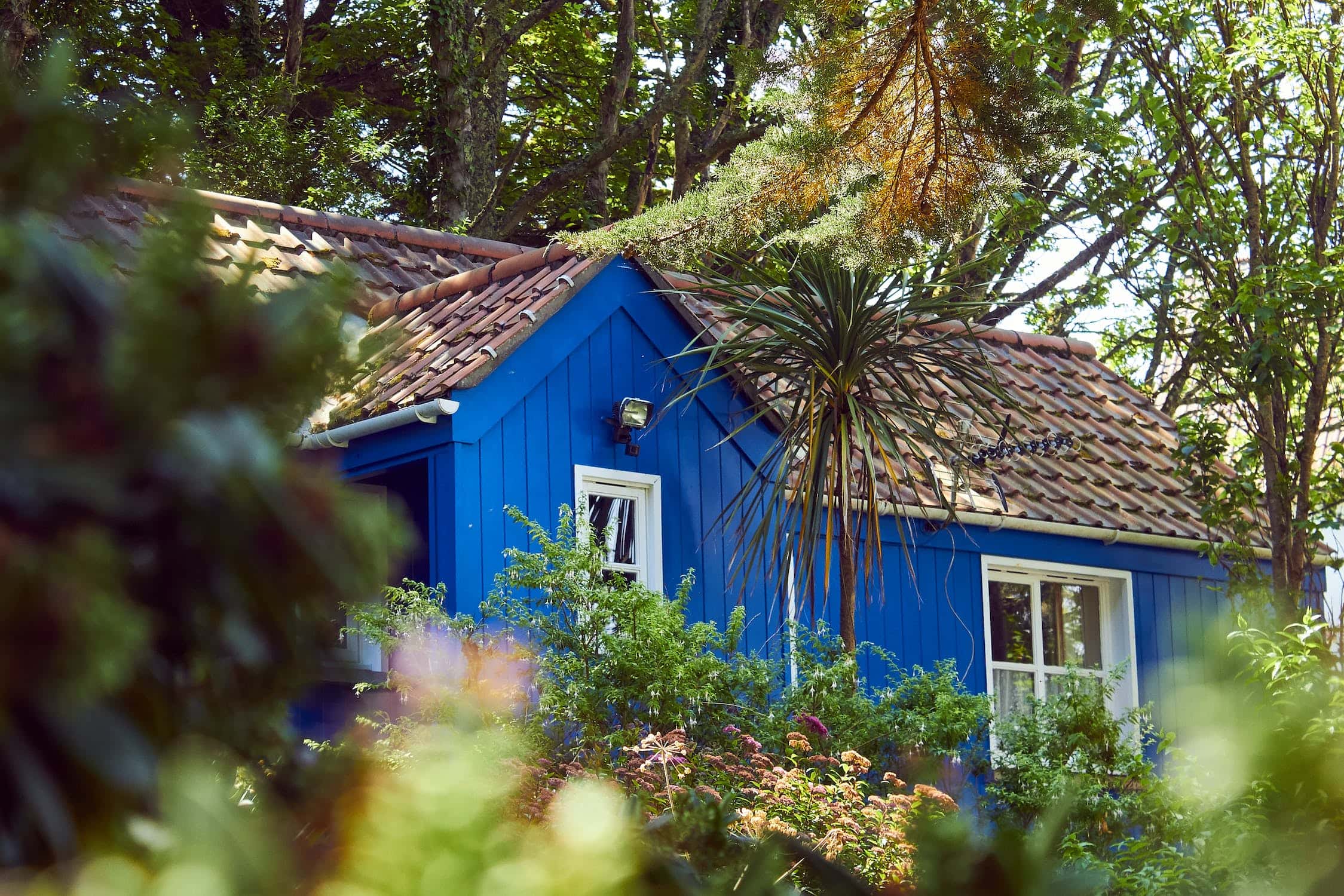 Vibrant mangalore tile roof blue cottage surrounded by lush garden and trees