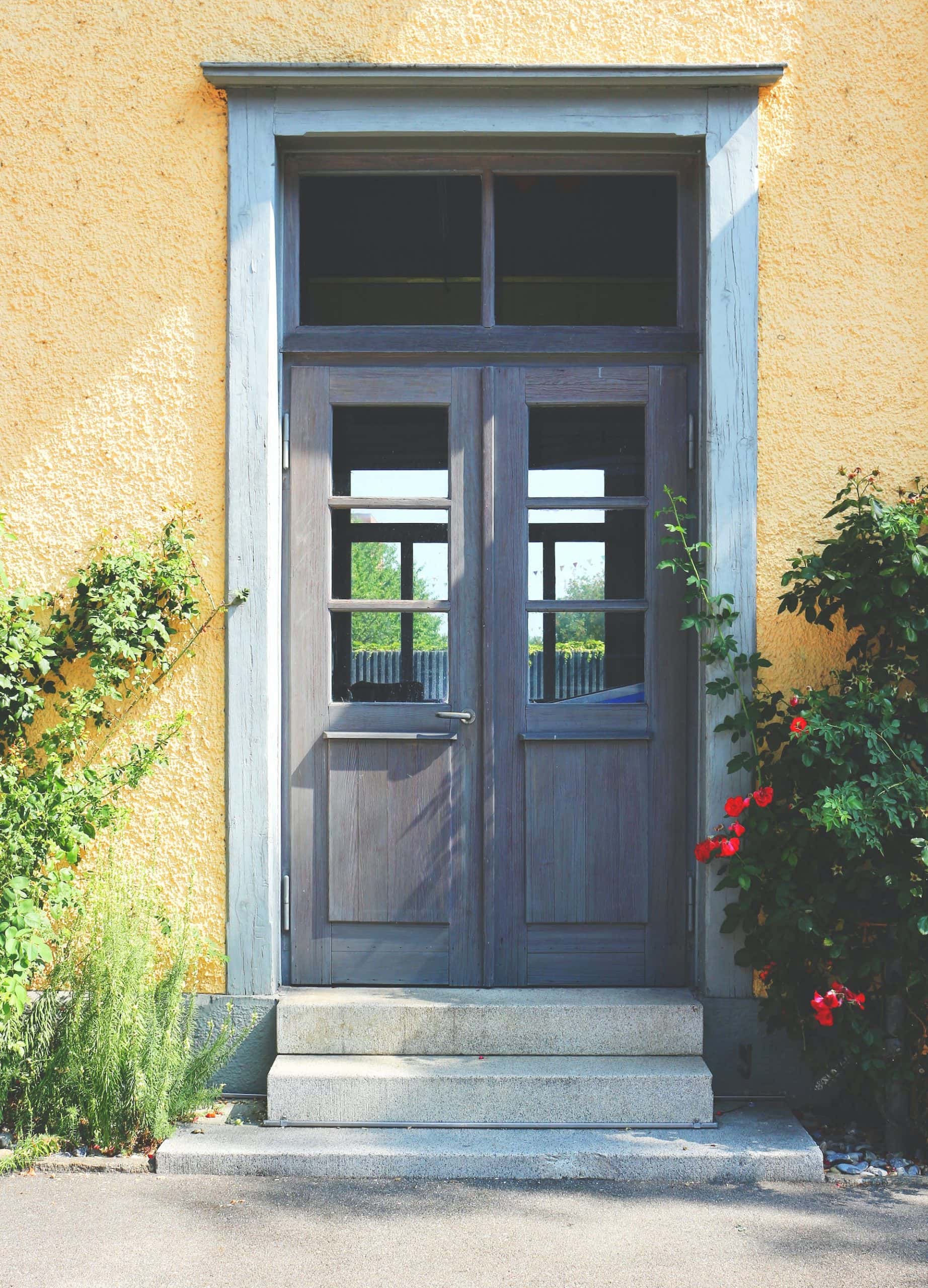 door plywood design