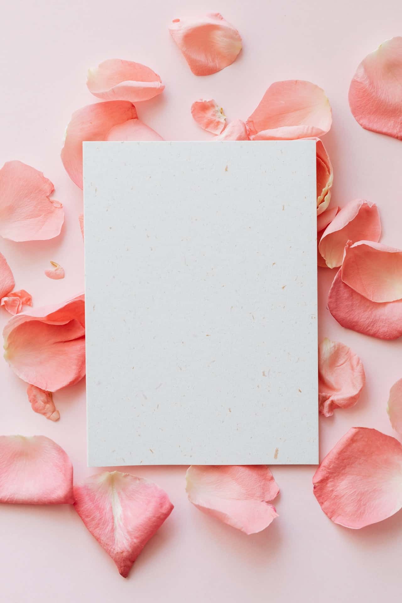 floral wallpaper with photo frames