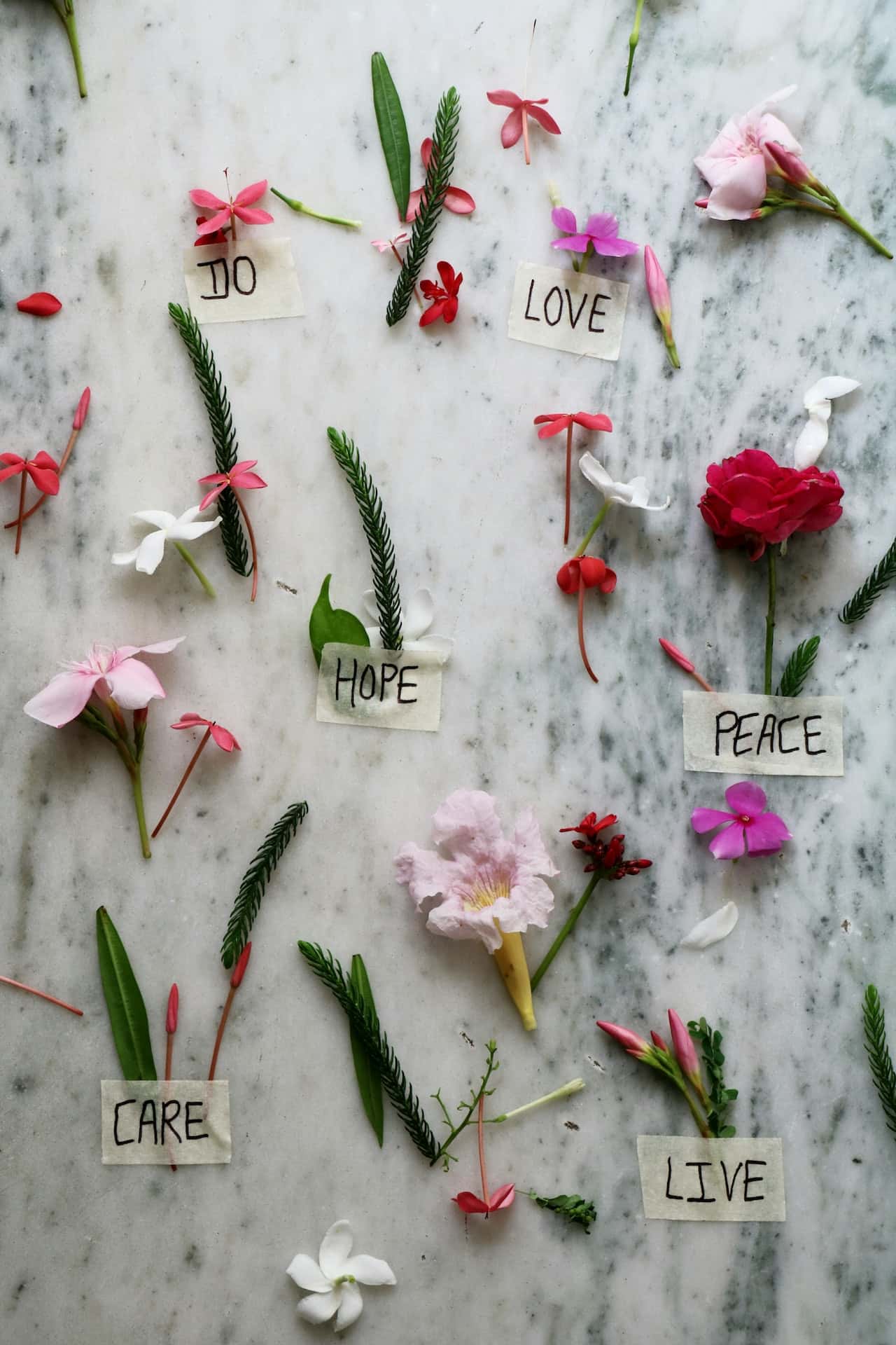 floral wallpaper