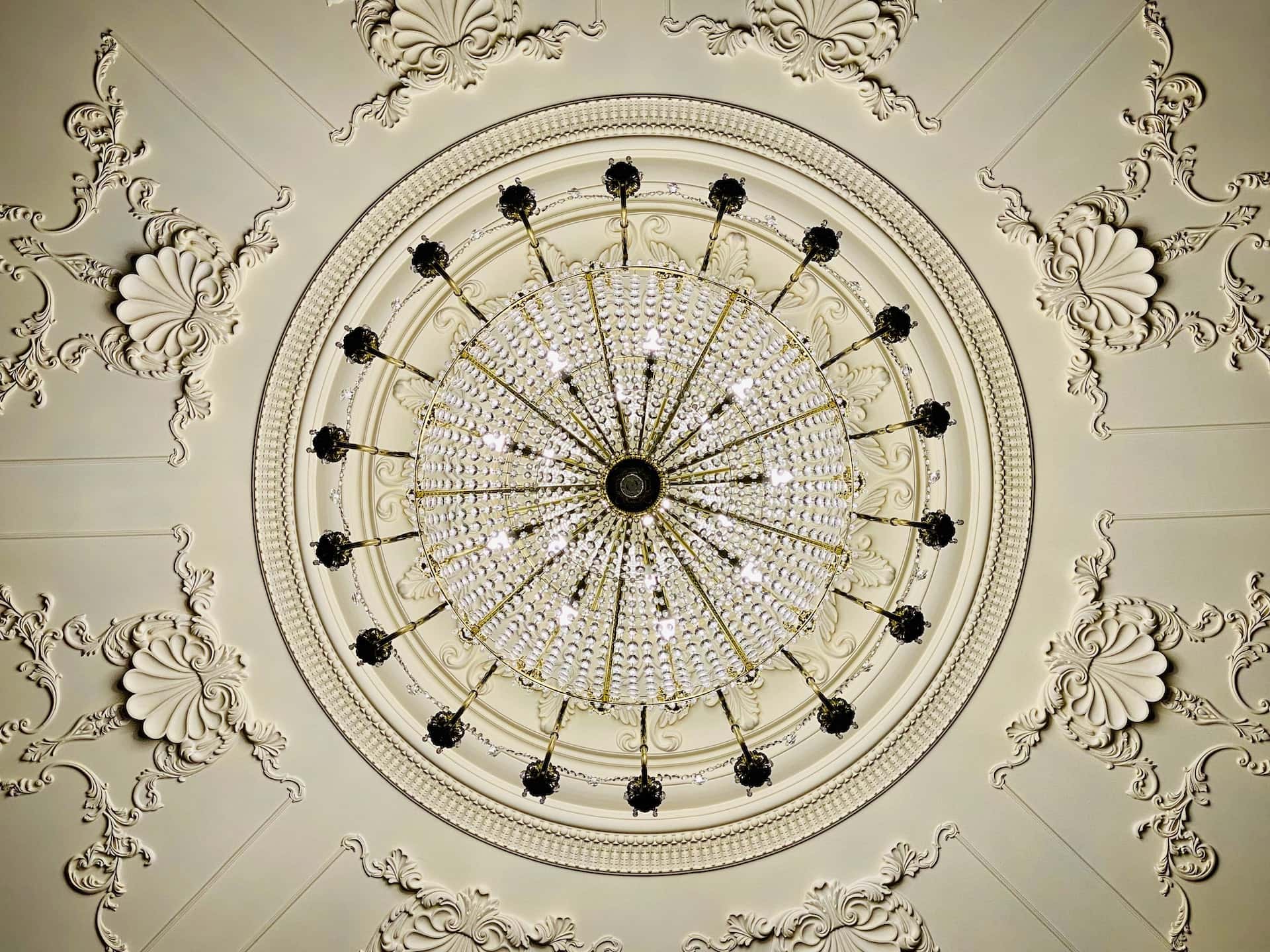 flower ceiling design of white colour