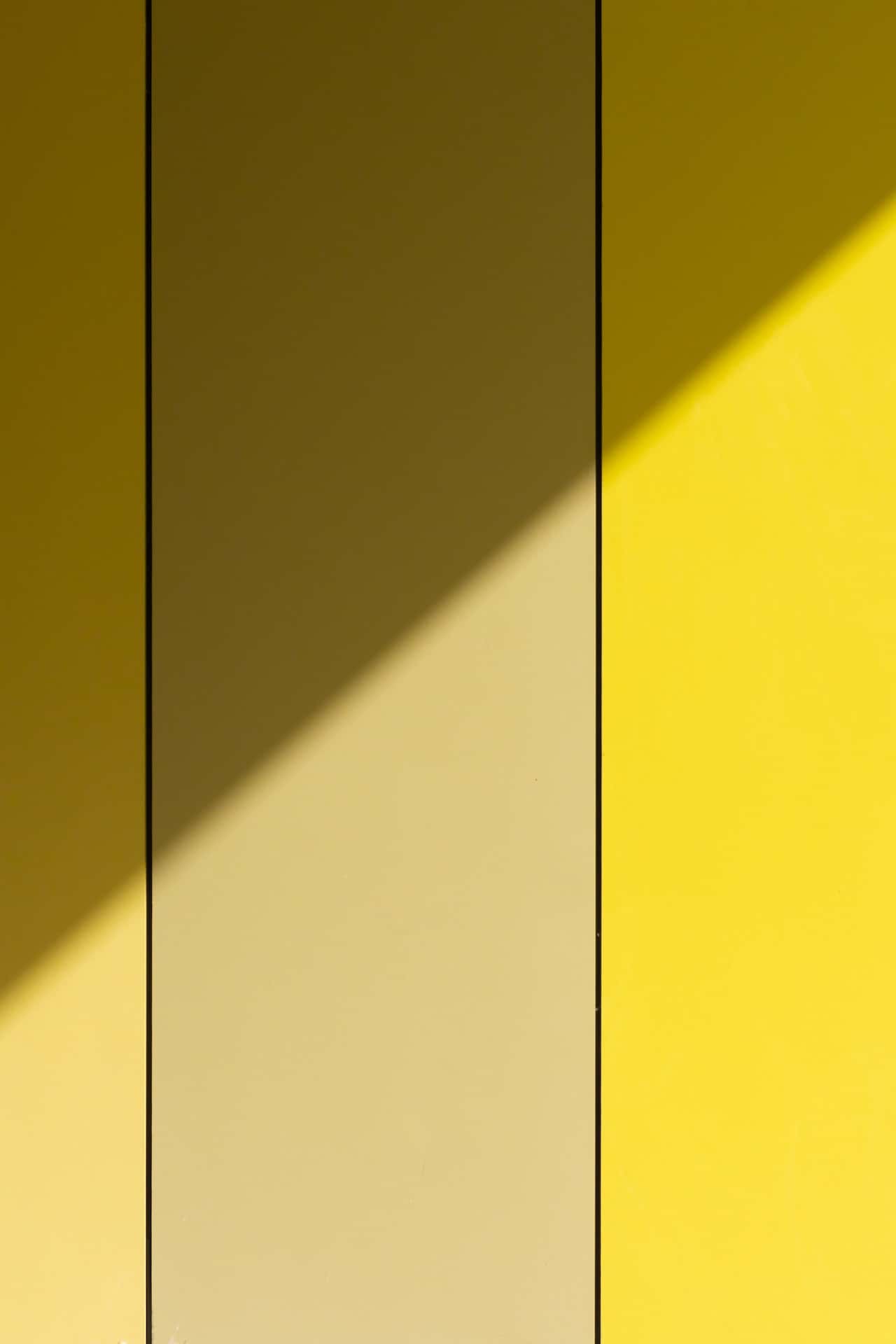 gradient wall with pvc panels