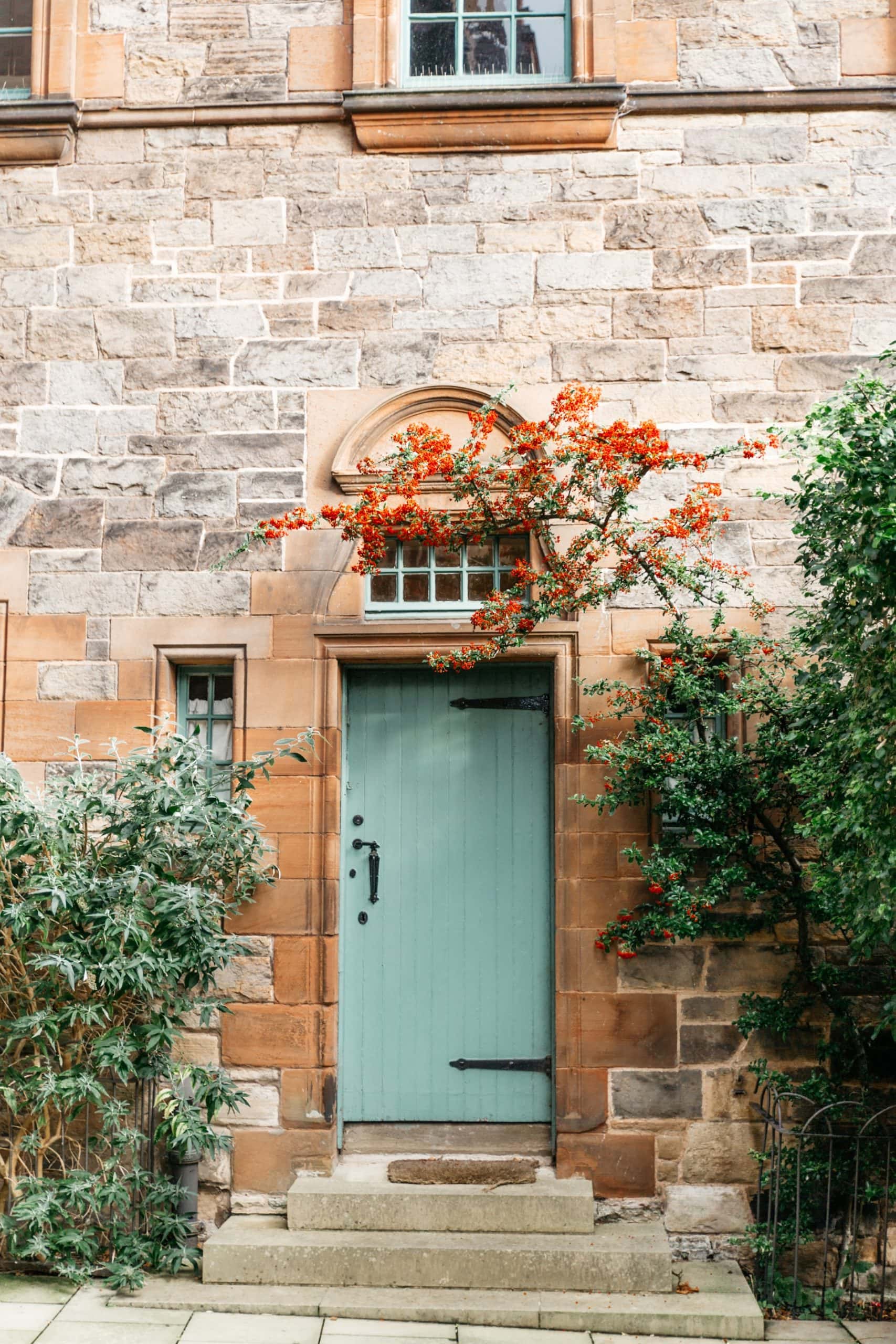 green door plywood design