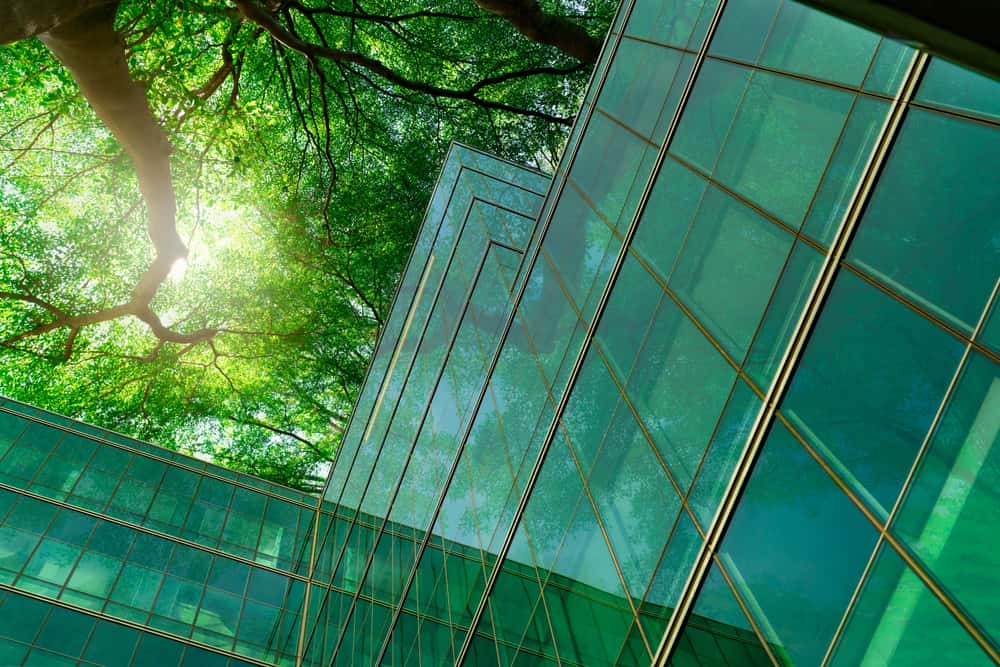 Eco-inspired elevation glass designs reflecting trees on green-tinted window panels