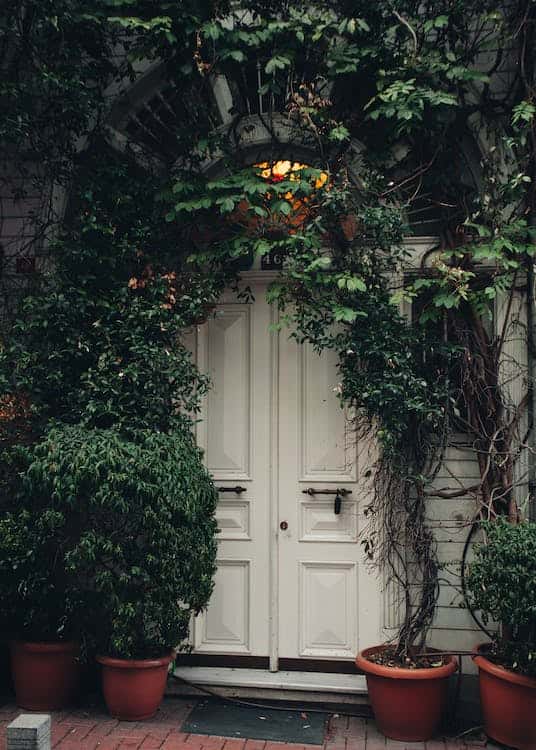low maintenance fibreglass doors