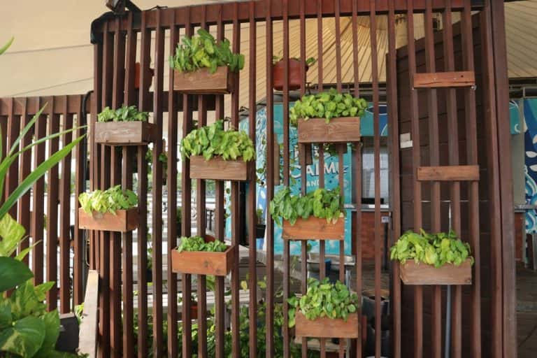10 Jali Partition Design Ideas to Elevate Your Interiors