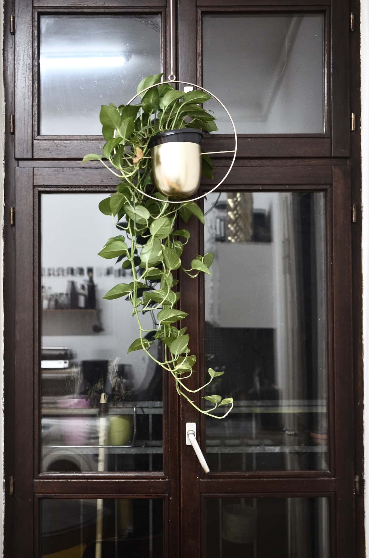 metal wall planter