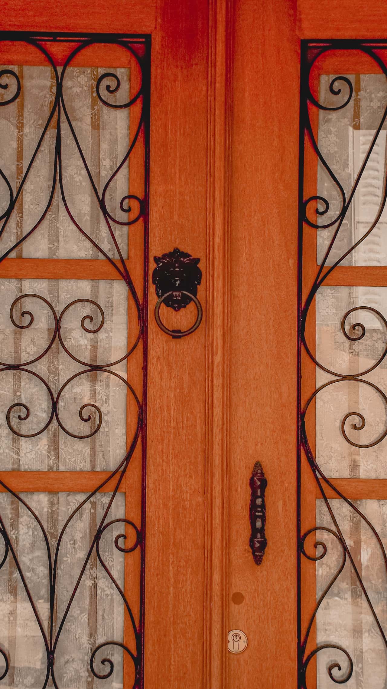 Vintage modern mosquito net door design with bold wood frame