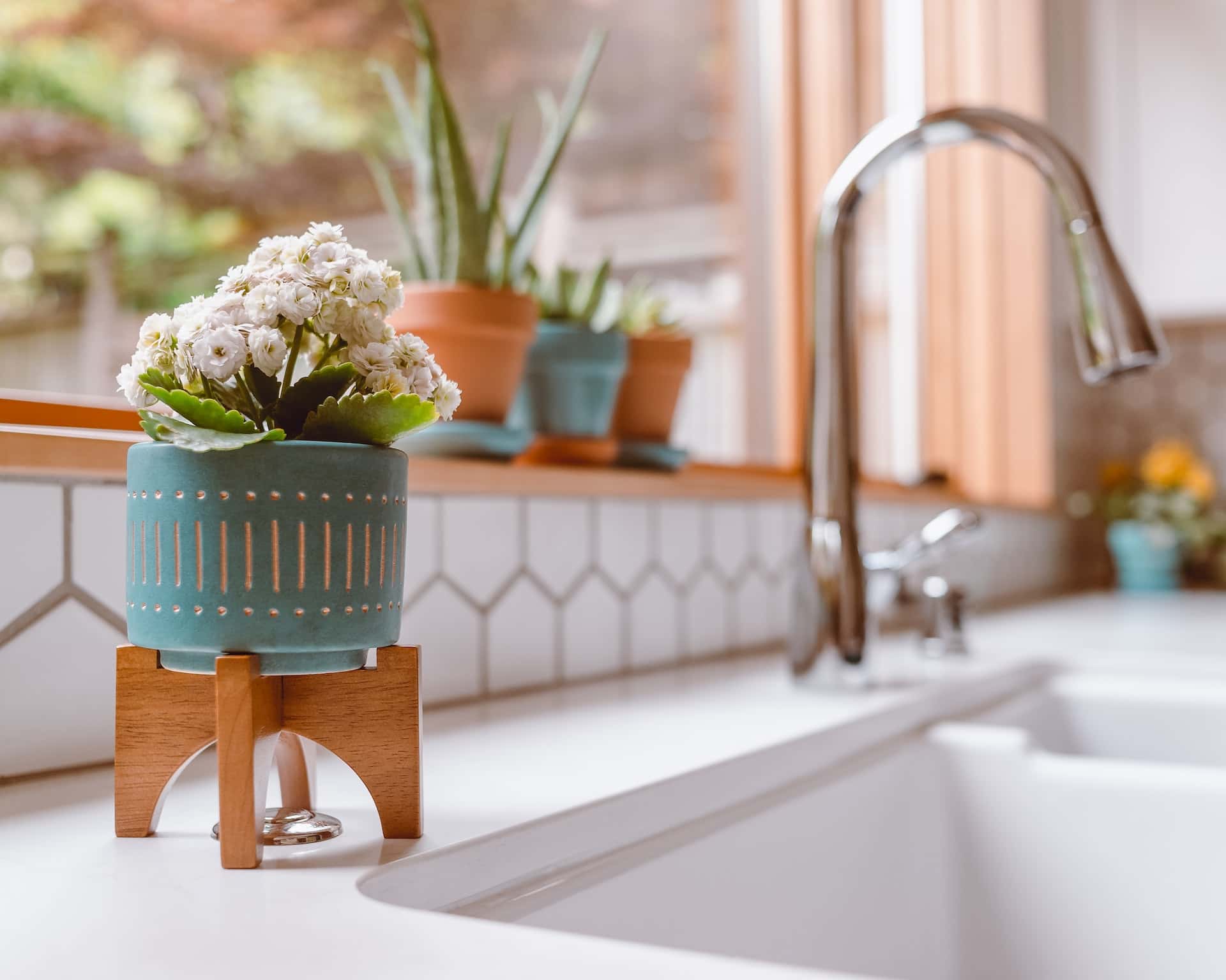Kitchen sink design with clean white counter and indoor plants