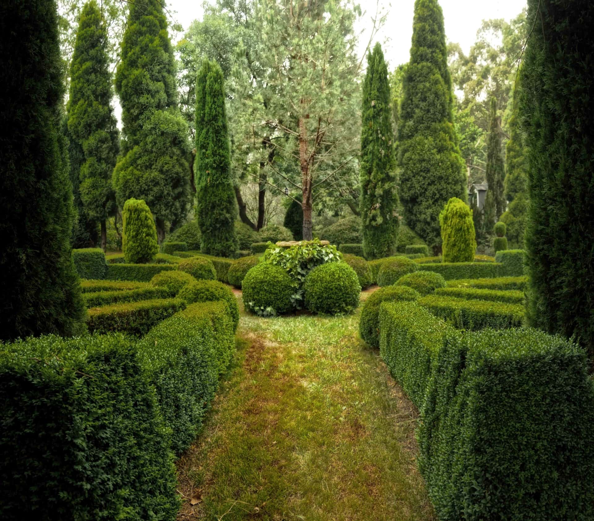 moss landscaping