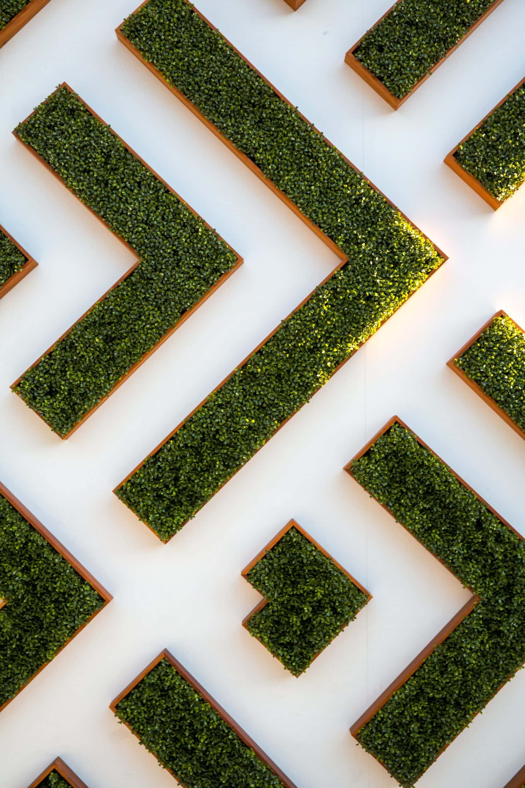 moss strips