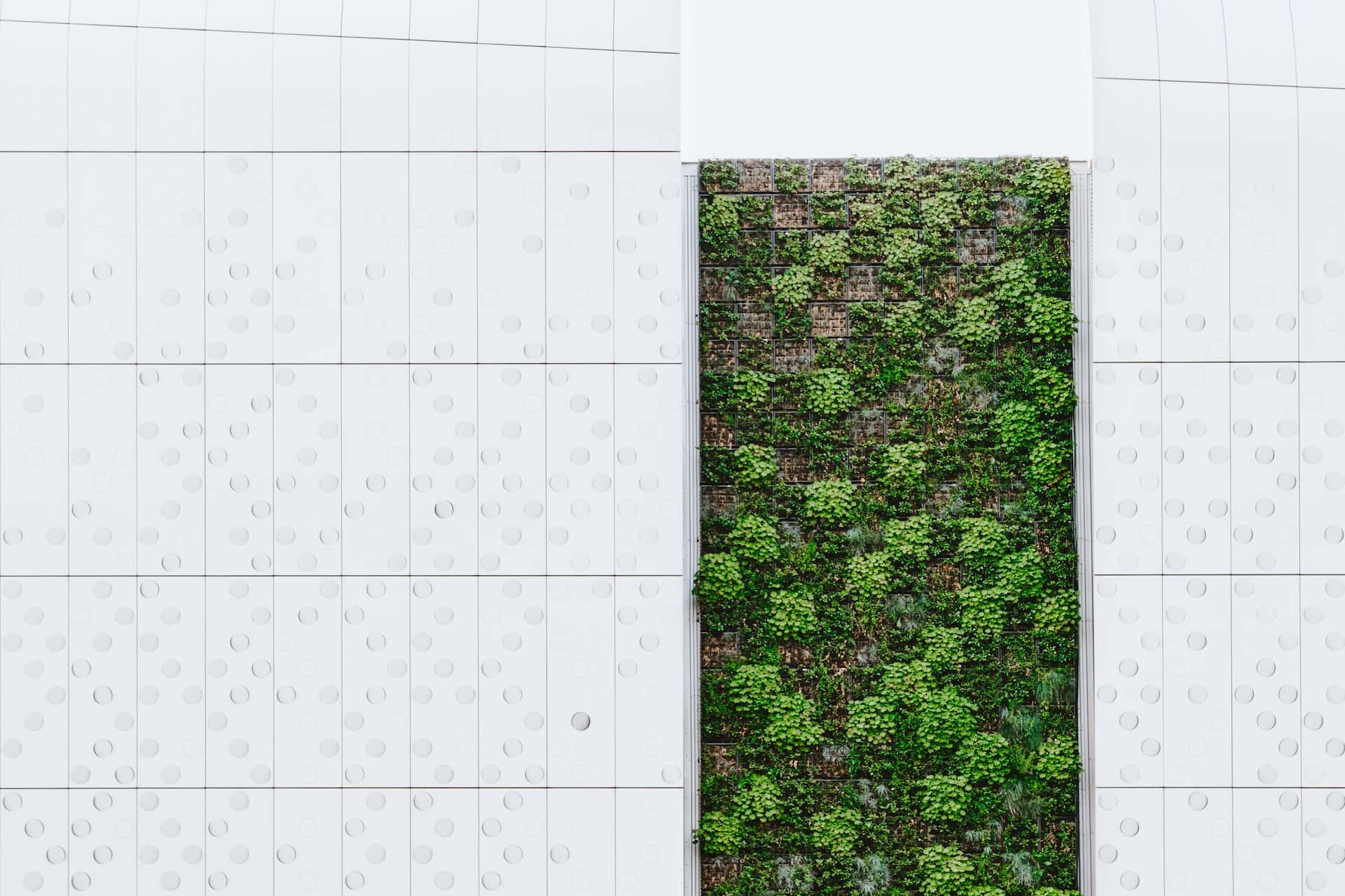 moss wall art panel