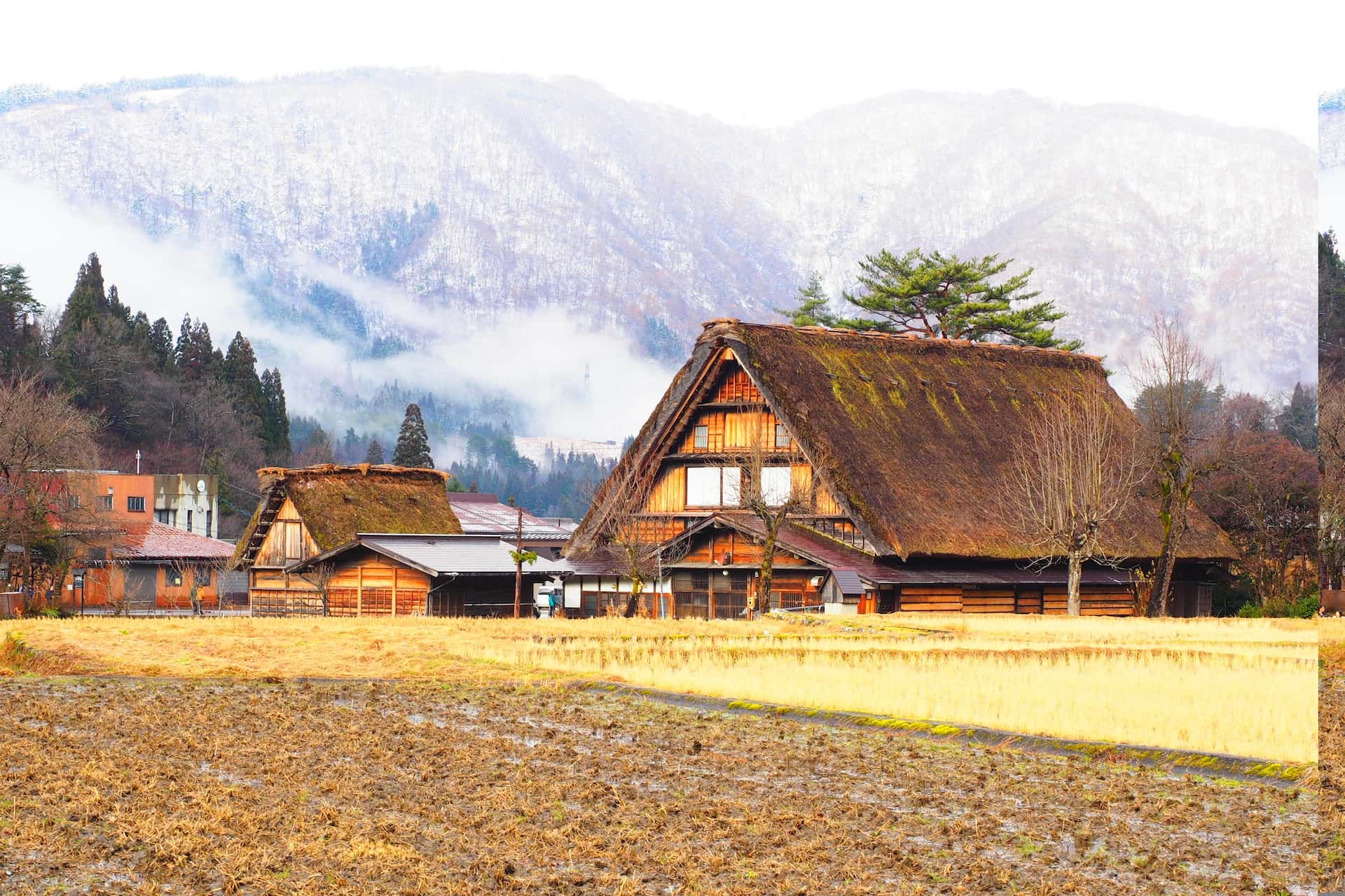 normal village house design