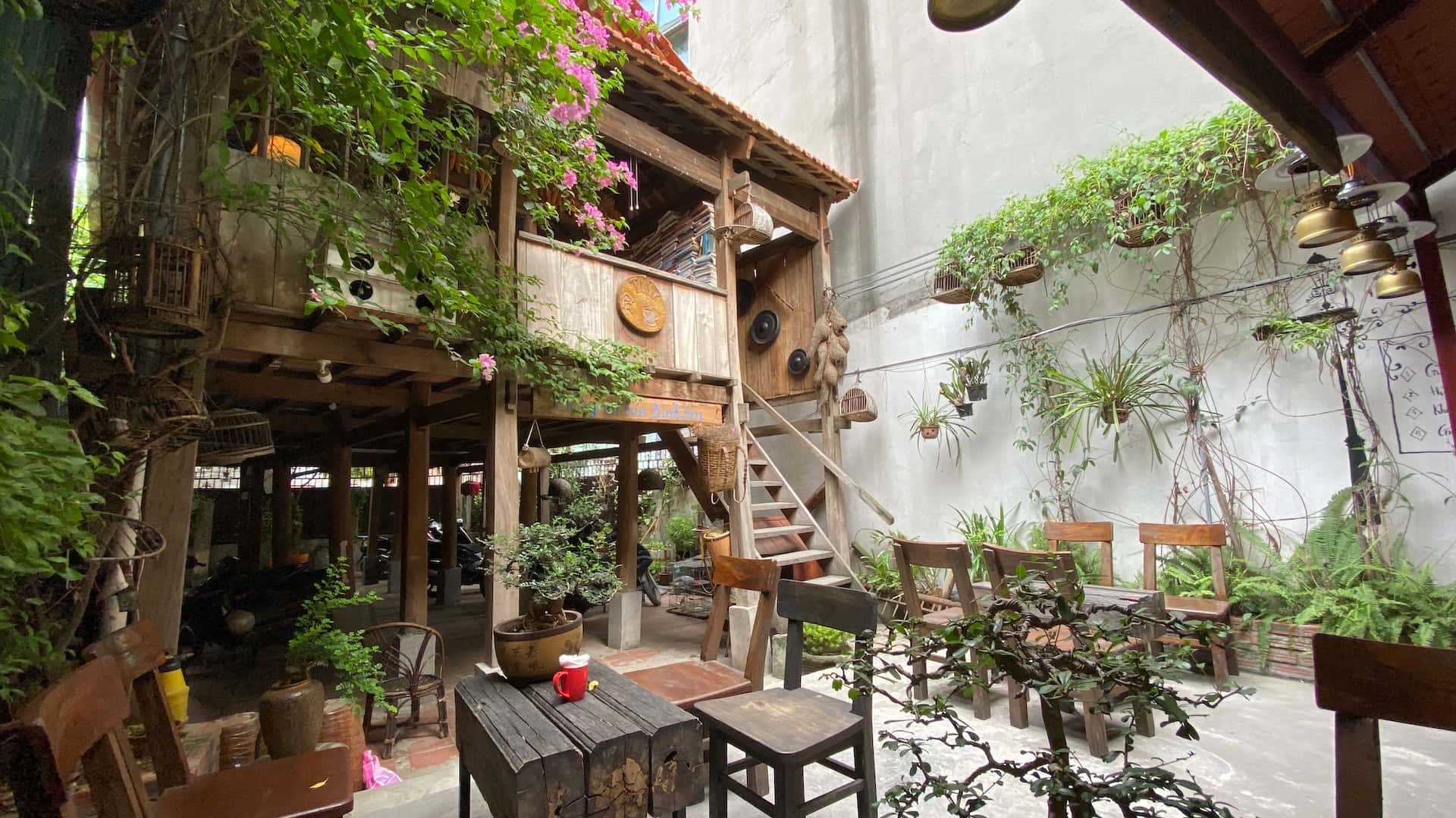 open tree house design