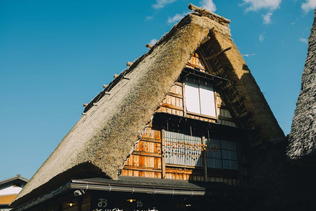 reed as thatch roof material