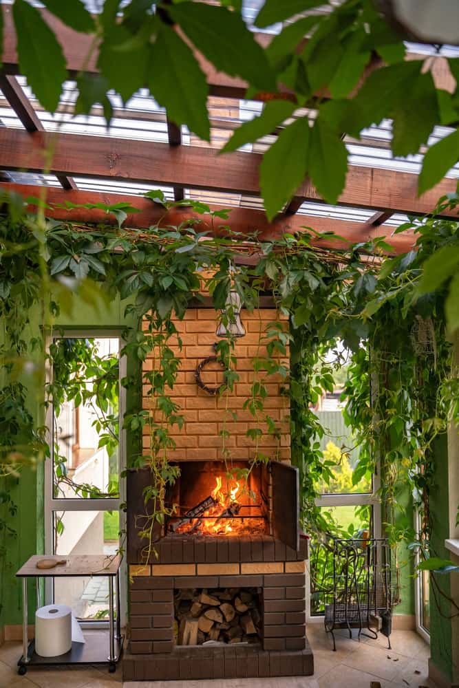 Cozy polycarbonate roof design with indoor fireplace and lush green climbers