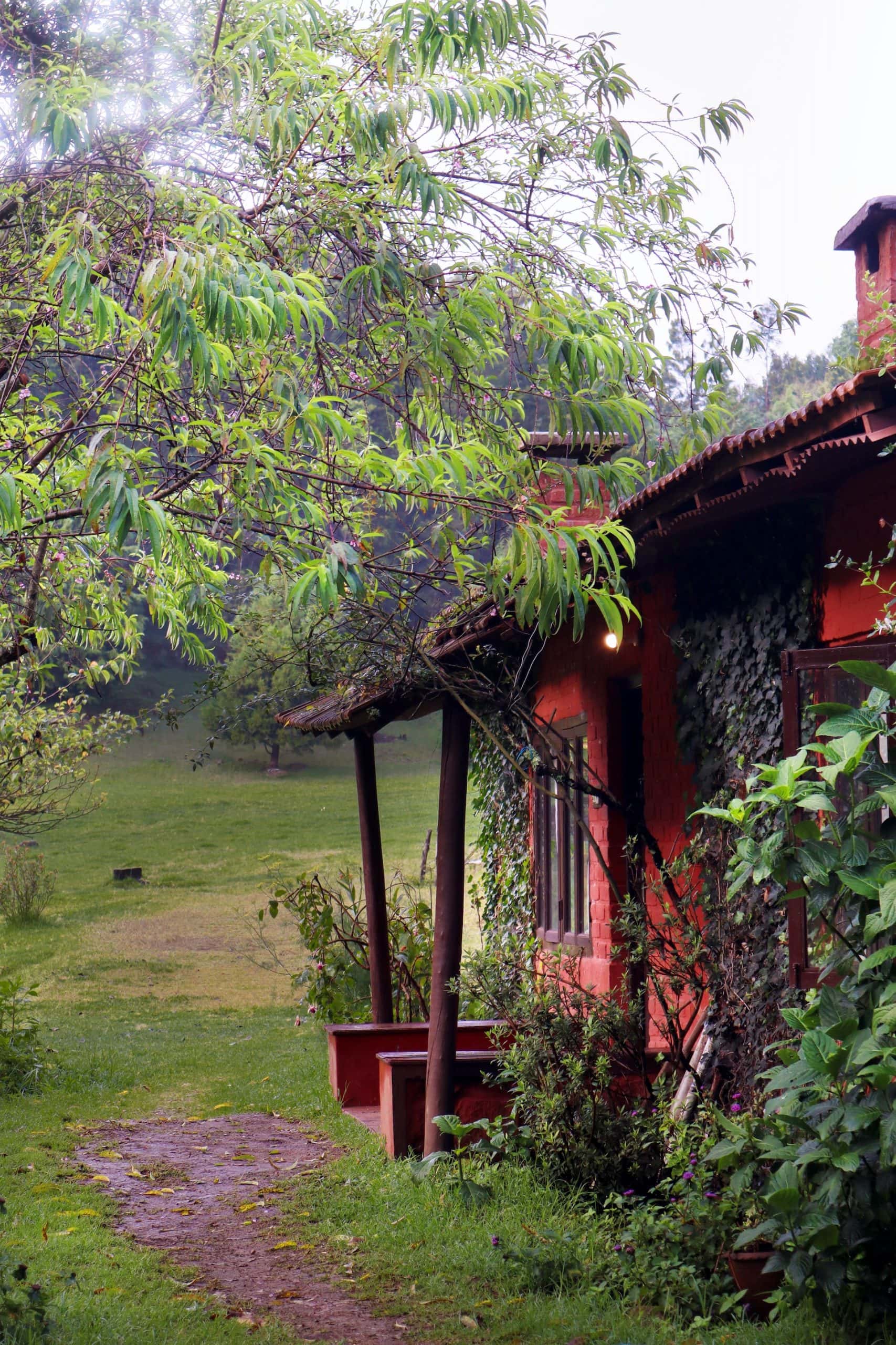 rustic hut-style village house