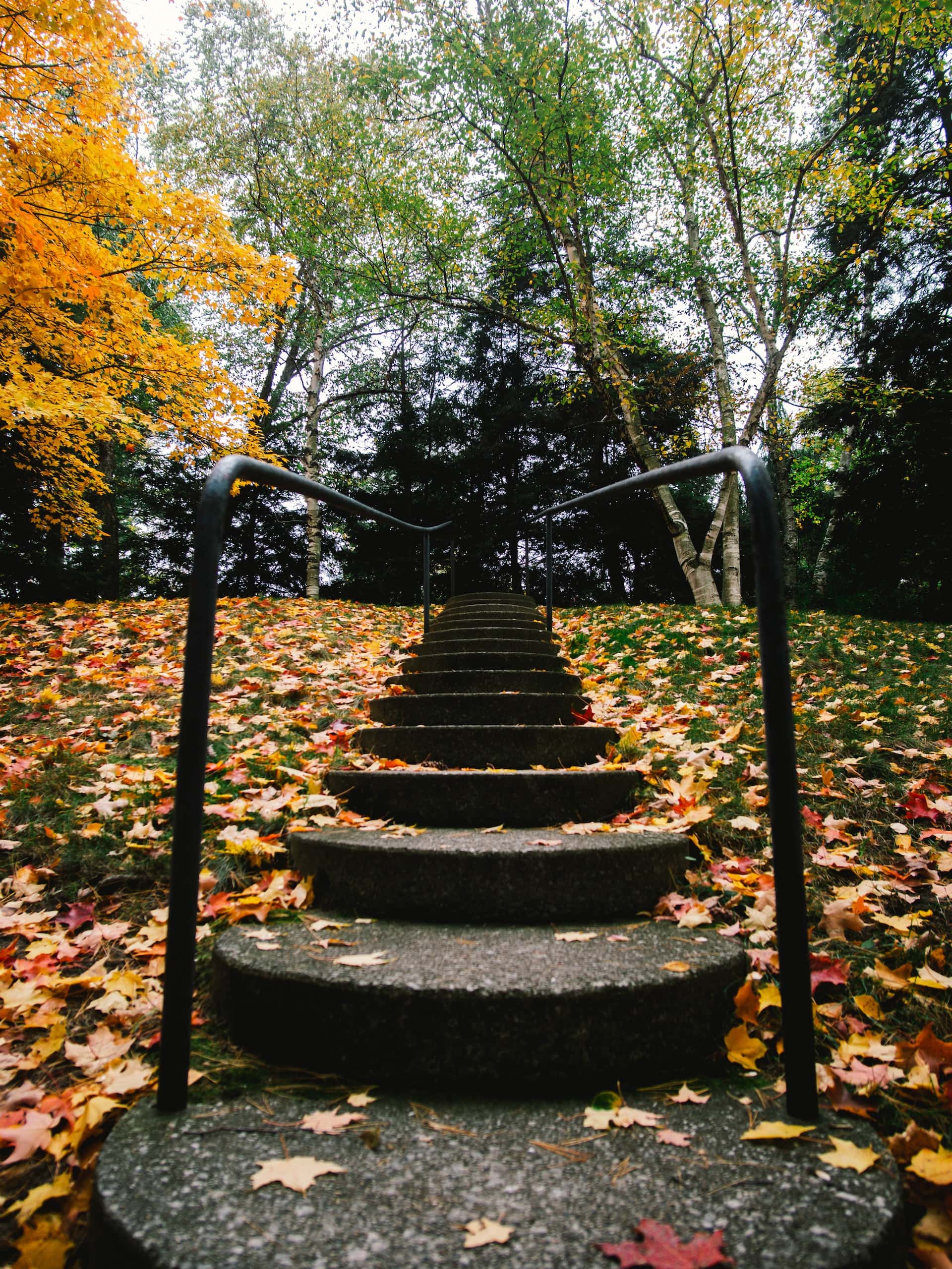 rustic outside stairs design