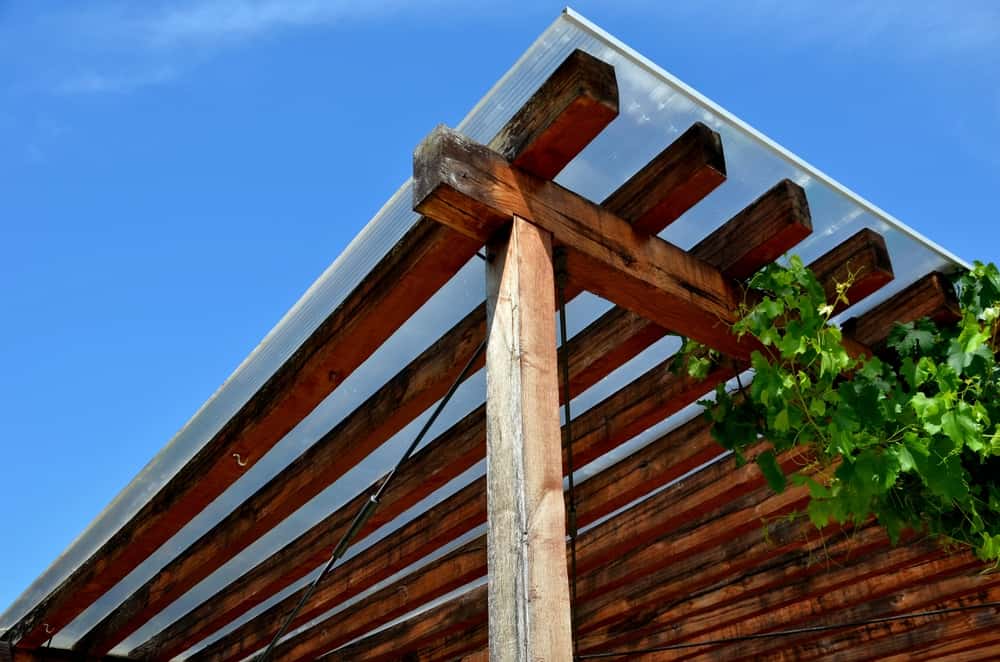 Rustic polycarbonate roof design with timber beams and natural vine decor
