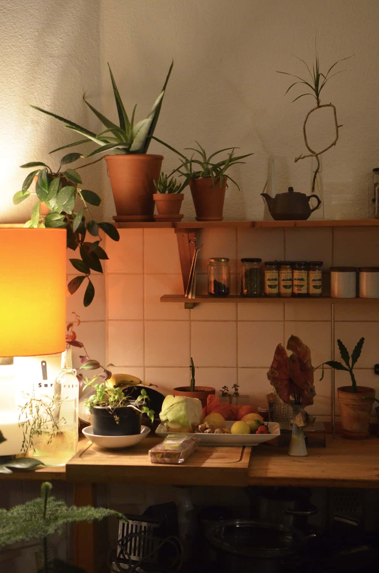 small kitchens with open shelving