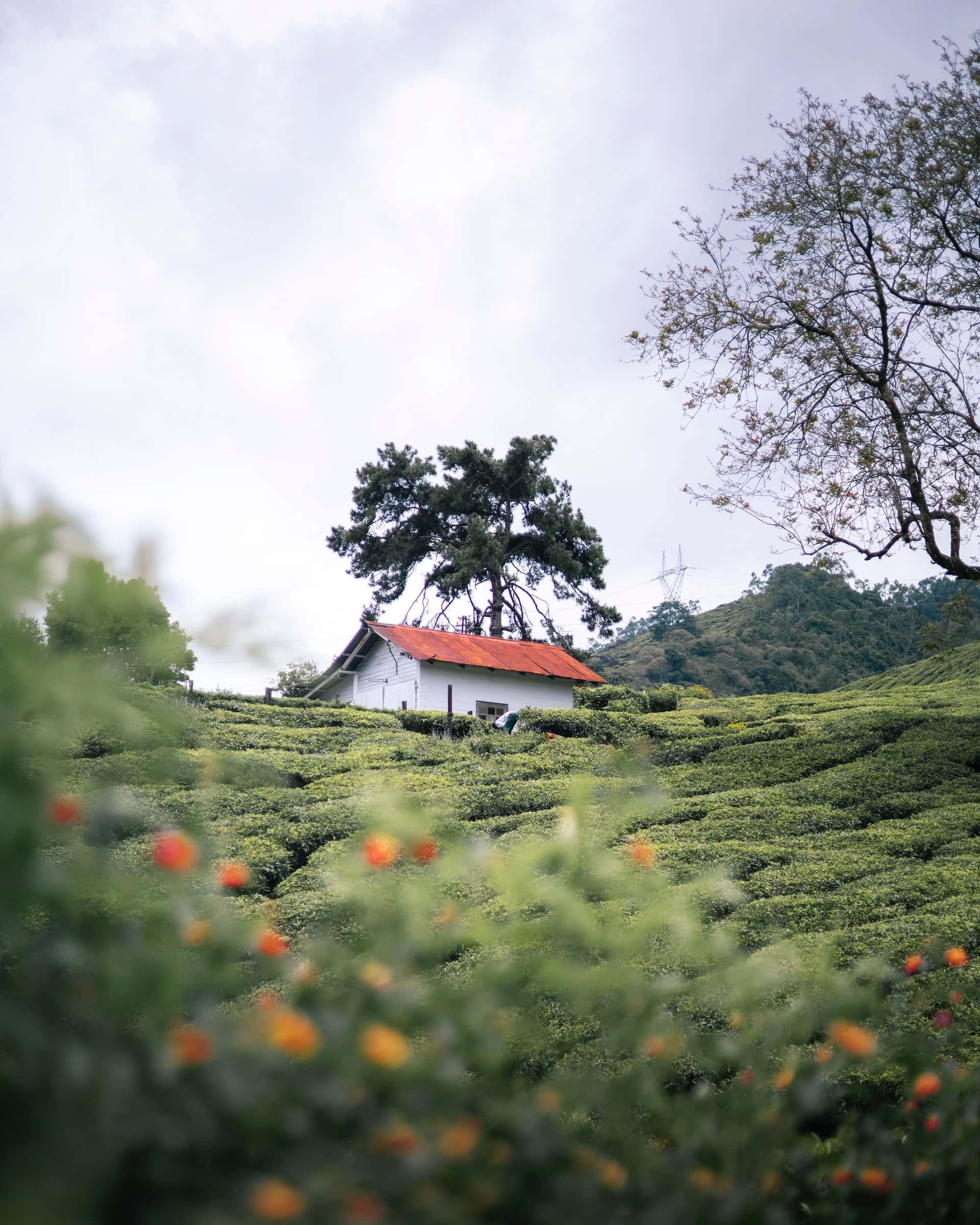 small slope house design