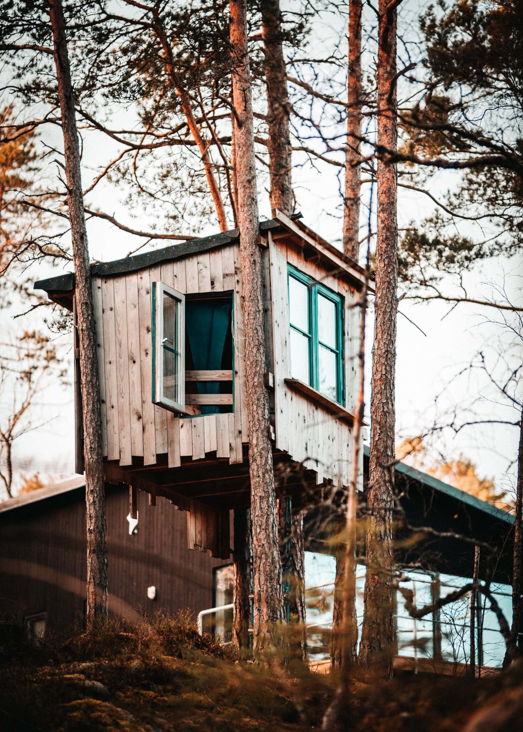 small tree house