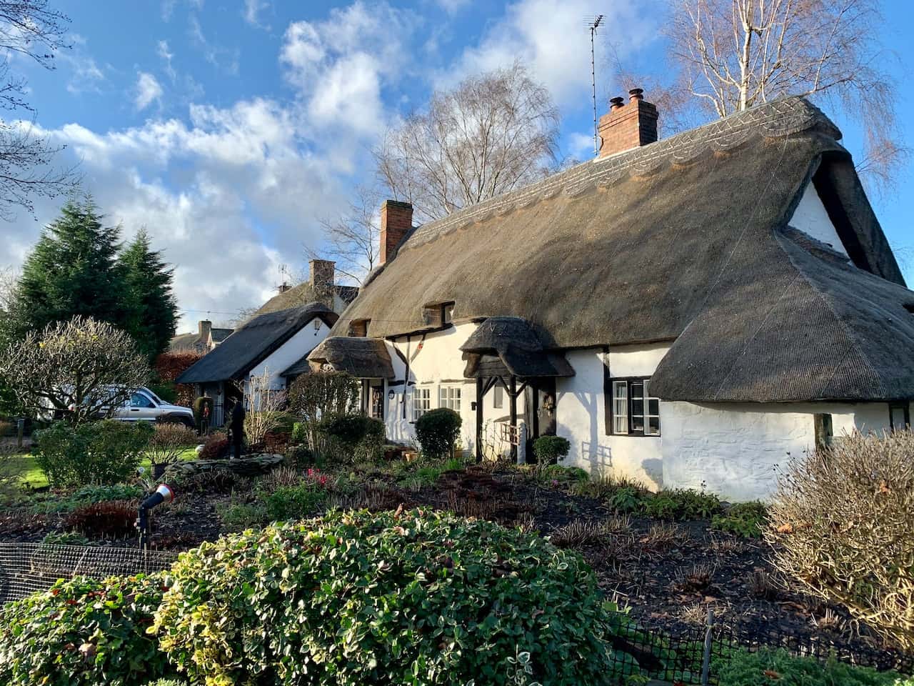 thatch roofing