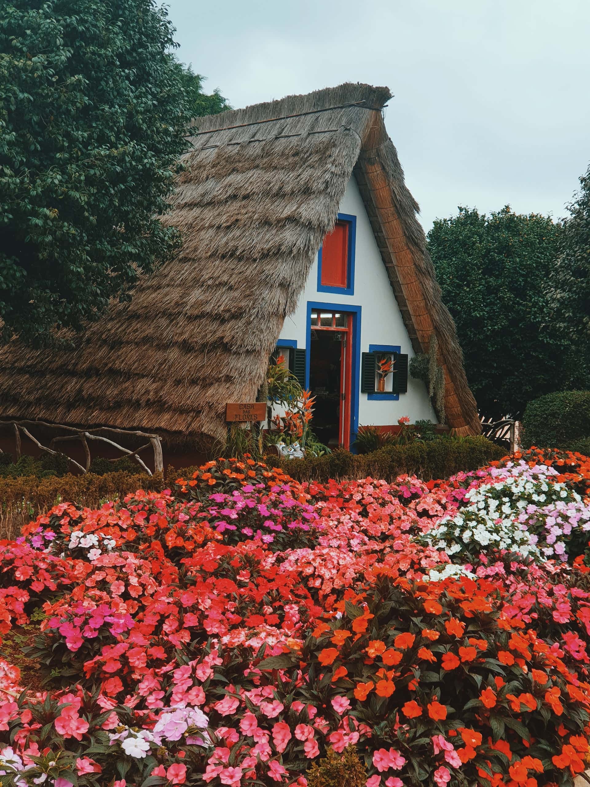 thatched roof village house design