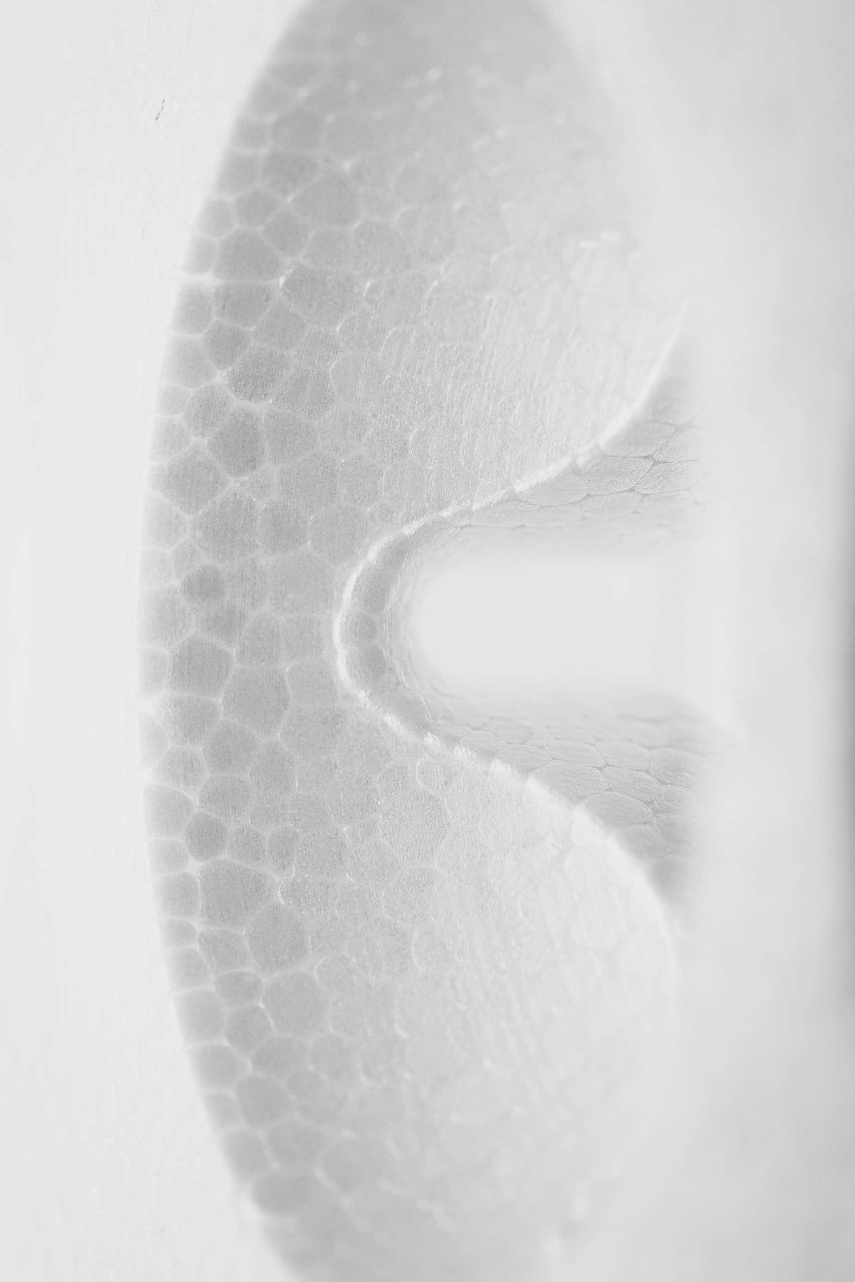 thermocol pop design